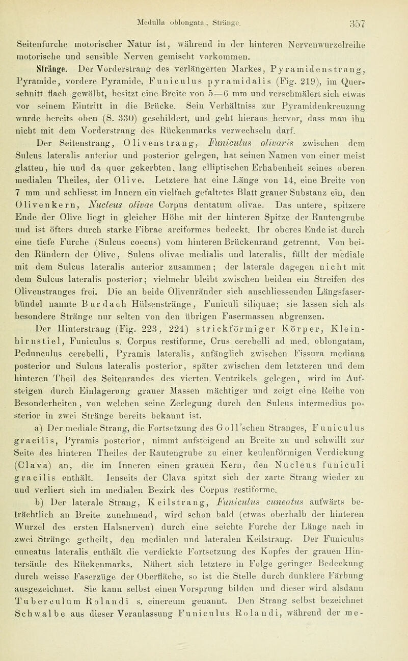 Seitenfuvche motorischer Natur ist, während in der hinteren Nervenwurzelreihe motorische und sensible Nerven gemischt vorkommen. Stränge. Der Vorderstrang des verlängerten Markes, Pyramidenstrang, Pyramide, vordere Pyramide, Fuuiculus pyramidalis (Fig. 219), im Quer- schnitt flach gewölbt, besitzt eine Breite von 5 — 6 mm und verschmälert sich etwas vor seinem Eintritt in die Brücke. Sein Verhältniss zur Pyramidenkreuzung wurde bereits oben (S. 330) geschildert, und geht hieraus hervor, dass man ihn nicht mit dem Vorderstrang des Rückenmarks verwechseln darf. Der Seitenstrang, Olivenstrang, Funiculus olivaris zwischen dem Sulcus lateralis anterior und posterior gelegen, hat seinen Namen von einer meist glatten, hie und da quer gekerbten, lang elliptischen Erhabenheit seines oberen medialen Theiles, der Olive. Letztere hat eine Länge von 14, eine Breite von 7 mm und schliesst im Innern ein vielfach gefaltetes Blatt grauer Substanz ein, den Olivenkern, Nucleus olivae Corpus dentatum olivae. Das untere, spitzere Ende der Olive liegt in gleicher Höhe mit der hinteren Spitze der Rautengrube und ist öfters durch starke Fibrae arciformes bedeckt. Ihr oberes Ende ist durch eine tiefe Furche (Sulcus coecus) vom hinteren Brückenrand getrennt. Von bei- den Rändern der Olive, Sulcus olivae medialis und lateralis, fällt der mediale mit dem Sulcus lateralis anterior zusammen; der laterale dagegen nicht mit dem Sulcus lateralis posterior; vielmehr bleibt zwischen beiden ein Streifen des Olivenstranges frei. Die an beide Olivenränder sich anschliessenden Längsfaser- bündel nannte Burdach Hülsenstränge, Funiculi siliquae; sie lassen sich als besondere Stränge nur selten von den übrigen Fasermassen abgrenzen. Der Hinterstrang (Fig. 223, 224) s tr i ckf ör mi ger Körper, Klein- hirnstiel, Funiculus s. Corpus restiforme, Crus cerebelli ad med. oblongatam, Pedunculus cerebelli, Pyramis lateralis, anfänglich zwischen Fissura mediana posterior und Sulcus lateralis posterior, später zwischen dem letzteren und dem hinteren Theil des Seitenrandes des vierten Ventrikels gelegen, wird im Auf- steigen durch Einlagerung grauer Massen mächtiger und zeigt eine Reihe von Besonderheiten , von welchen seine Zerlegung durch den Sulcus intermedius po- sterior in zwei Stränge bereits bekannt ist. a) Der mediale Strang, die Fortsetzung des Goll'schen Stranges, Funiculus gracilis, Pyramis posterior, nimmt aufsteigend an Breite zu und schwillt zur Seite des hinteren Theiles der Rautengrube zu einer keulenförmigen Verdickung (Clava) an, die im Inneren einen grauen Kern, den Nucleus funiculi gracilis enthält. Ienseits der Clava spitzt sich der zarte Strang wieder zu und verliert sich im medialen Bezirk des Corpus restiforme. b) Der laterale Strang, Keilstrang, Funiculus cuneatus aufwärts be- trächtlich an Breite zunehmend, wird schon bald (etwas oberhalb der hinteren Wurzel des ersten Halsnerven) durch eine seichte Furche der Länge nach in zwei Stränge getheilt, den medialen und lateralen Keilstrang. Der Funiculus cuneatus lateralis enthält die verdickte Fortsetzung des Kopfes der grauen Hin- tersäule des Rückenmarks. Nähert sich letztere in Folge geringer Bedeckung durch weisse Faserzüge der Oberfläche, so ist die Stelle durch dunklere Färbung ausgezeichnet. Sie kann selbst einen Vorsprung bilden und dieser wird alsdann Tuberculum Rolandi s. cinereum genannt. Den Strang selbst bezeichnet Schwalbe aus dieser Veranlassung Funiculus Rolandi, während der me-