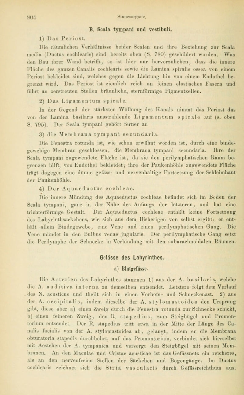 B. Scala tympani und vestibuli. 1) Das Periost. Die räumlichen Verhältnisse beider Scalen und ihre Beziehung zur Scala media (Ductus cochlearis) sind bereits oben (8. 780) geschildert worden. Was den Bau ihrer Wand betrifft, SO ist hier nur hervorzuheben, dass die innere Fläche des ganzen Canalis cochlearis sowie die Lamina spiralis ossea von einem Periost bekleidet sind, welches gegen die Lichtung hin von einem Endothel be- grenzt wird. Das Periost ist ziemlich reich an feinen elastischen Fasern und führt an zerstreuten Stellen bräunliche, sternförmige Pigmentzellen. 2) Das Ligamentum spirale. In der Gegeud der stärksten Wölbung des Kanals nimmt das Periost das von der Lamina basilaris ausstrahlende Ligamentum spirale auf (s. oben S. 795). Der Scala tympani gehört ferner an 3) die Membrana tympani secundaria. Die Fenestra rotunda ist, wie schon erwähnt worden ist, durch eine binde- gewebige Membran geschlossen, die Membrana tympani secundaria. Ihre der Scala tympani zugewendete Fläche ist, da sie den perilymphatischen Kaum be- grenzen hilft, von Endothel bekleidet; ihre der Paukenhöhle zugewendete Fläche trägt dagegen eine dünne gefäss- und nervenhaltige Fortsetzung der Schleimhaut der Paukenhöhle. 4) Der Aquaeductus Cochleae. Die innere Mündung des Aquaeductus Cochleae befindet sich im Boden der Scala tympani, ganz in der Nähe des Anfangs der letzteren, und hat eine trichterförmige Gestalt. Der Aquaeductus Cochleae enthält keine Fortsetzung des Labyrinthsäckchens, wie sich aus dem Bisherigen von selbst ergibt; er ent- hält allein Bindegewebe, eine Vene und einen perilymphatischen Gang. Die Vene mündet in den Bulbus venae jugularis. Der perilymphatische Gang setzt die Perilymphe der Schnecke in Verbindung mit den subarachnoidalen Räumen. Gefässe des Labyrinthes. a) Blutgefässe. Die Arterien des Labyrinthes stammen 1) aus der A. basilaris, welche die A. auditiva interna zu demselben entsendet. Letztere folgt dem Verlauf <\v^ N. acusticus und theilt sich in einen Vorhofs- und Schneckenast. 2) aus der A. occipitalis, indem dieselbe der A. stylomastoidea den Ursprung gibt, diese aber a) einen Zweig durch die Fenestra rotunda zur Schnecke schickt, b) einen feineren Zweig, den R. stapedius, zum Steigbügel und Promon- torium entsendet. Der R. stapedius tritt etwa in der Mitte der Länge des Ca- nalis facialis von der A. stylomastoidea ab, gelangt, indem er die Membrana obturatoria stapedis durchbohrt, auf das Promontorium, verbindet sich hicrselbst mit Aestchen der A. tympanica und versorgt den Steigbügel mit seinen Mem- branen. An den Maculae und Cristae acusticae ist das Gefässnetz ein reicheres, als an den nervenfreien Stellen der Säckchen und Bogengänge. Im Ductus cochlearis zeichnet sich die Stria vascularis durch Gefässreicbtbum aus.