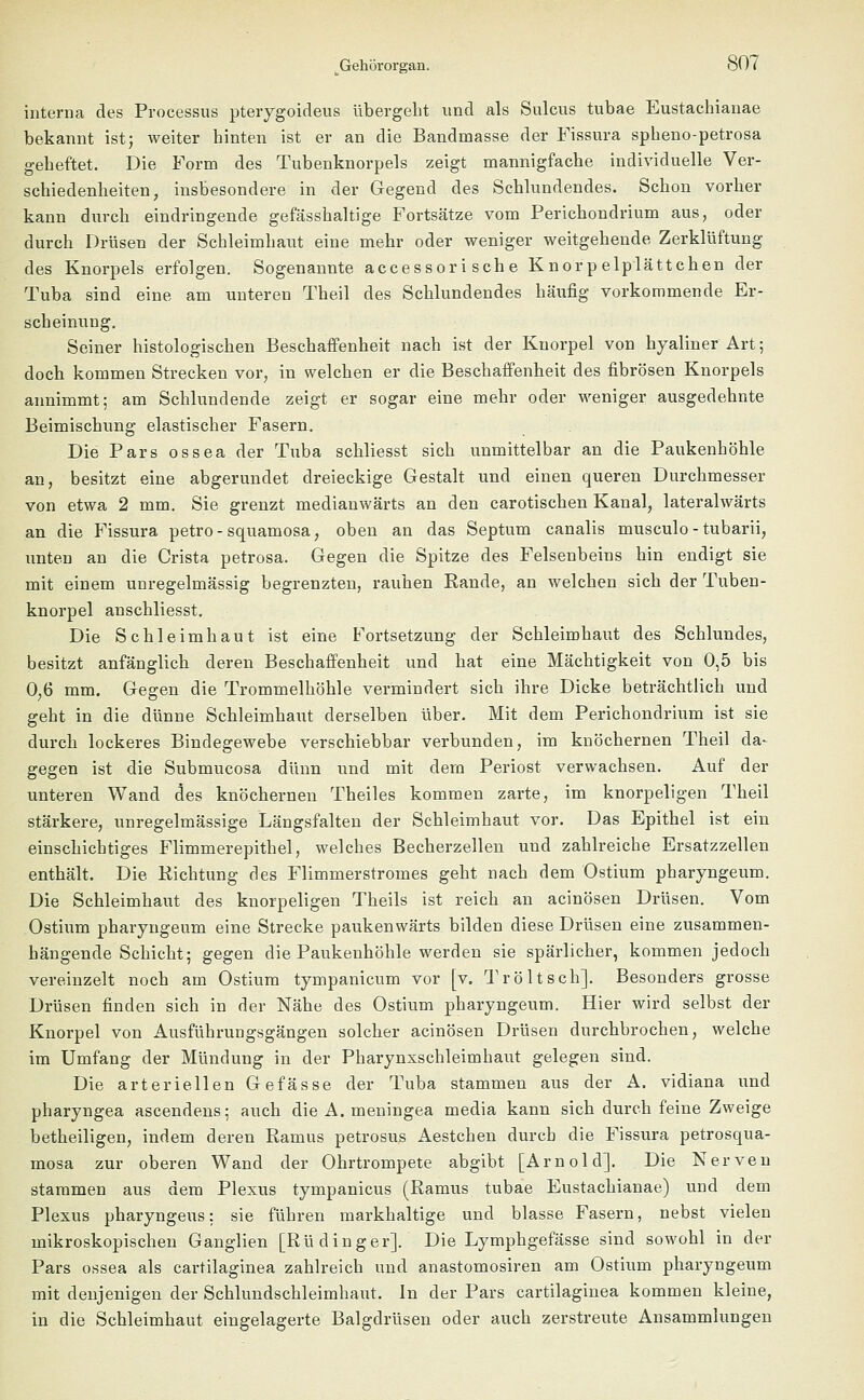 interna des Processus pterygoideus übergeht und als Sulcus tubae Eustachianae bekannt ist; weiter hinten ist er an die Bandinasse der Fissura spheno-petrosa geheftet. Die Form des Tubenknorpels zeigt mannigfache individuelle Ver- schiedenheiten, insbesondere in der Gegend des Schlundendes. Schon vorher kann durch eindringende gefässhaltige Fortsätze vom Perichondrium aus, oder durch Drüsen der Schleimhaut eine mehr oder weniger weitgehende Zerklüftung des Knorpels erfolgen. Sogenannte accessor i sehe Knor p elplättchen der Tuba sind eine am unteren Theil des Schlundendes häufig vorkommende Er- scheinung. Seiner histologischen Beschaffenheit nach ist der Knorpel von hyaliner Art; doch kommen Strecken vor, in welchen er die Beschaffenheit des fibrösen Knorpels annimmt: am Schlundende zeigt er sogar eine mehr oder weniger ausgedehnte Beimischung elastischer Fasern. Die Pars ossea der Tuba schliesst sich unmittelbar an die Paukenhöhle an, besitzt eine abgerundet dreieckige Gestalt und einen queren Durchmesser von etwa 2 mm. Sie grenzt medianwärts an den carotischen Kanal, lateralwärts an die Fissura petro-squamosa, oben an das Septum canalis musculo - tubarii, unten an die Crista petrosa. Gegen die Spitze des Felsenbeins hin endigt sie mit einem unregelmässig begrenzten, rauhen Eande, an welchen sich der Tuben- knorpel anschliesst. Die Schleimhaut ist eine Fortsetzung der Schleimhaut des Schlundes, besitzt anfänglich deren Beschaffenheit und hat eine Mächtigkeit von 0,5 bis 0,6 mm. Gegen die Trommelhöhle vermindert sich ihre Dicke beträchtlich und geht in die dünne Schleimhaut derselben über. Mit dem Perichondrium ist sie durch lockeres Bindegewebe verschiebbar verbunden, im knöchernen Theil da^ gegen ist die Submucosa dünn und mit dem Periost verwachsen. Auf der unteren Wand des knöchernen Theiles kommen zarte, im knorpeligen Theil stärkere, unregelmässige Längsfalten der Schleimhaut vor. Das Epithel ist ein einschichtiges Flimmerepithel, welches Becherzellen und zahlreiche Ersatzzellen enthält. Die Richtung des Flimmer Stromes geht nach dem Ostium pharyngeum. Die Schleimhaut des knorpeligen Theils ist reich an acinösen Drüsen. Vom Ostium pharyngeum eine Strecke paukenwärts bilden diese Drüsen eine zusammen- hängende Schicht; gegen die Paukenhöhle werden sie spärlicher, kommen jedoch vereinzelt noch am Ostium tympanicum vor [v. Tr ölt seh]. Besonders grosse Drüsen finden sich in der Nähe des Ostium pharyngeum. Hier wird selbst der Knorpel von Ausführungsgängen solcher acinösen Drüsen durchbrochen, welche im Umfang der Mündung in der Pharynxschleimhaut gelegen sind. Die arteriellen Gefässe der Tuba stammen aus der A. vidiana und pharyngea ascendens; auch die A. meningea media kann sich durch feine Zweige betheiligen, indem deren Ramus petrosus Aestchen durch die Fissura petrosqua- mosa zur oberen Wand der Ohrtrompete abgibt [Arnold]. Die Nerven stammen aus dem Plexus tympanicus (Ramus tubae Eustachianae) und dem Plexus pharyngeus: sie führen markhaltige und blasse Fasern, nebst vielen mikroskopischen Ganglien [Rüdinger]. Die Lymphgefässe sind sowohl in der Pars ossea als cartilaginea zahlreich und anastomosiren am Ostium pharyngeum mit denjenigen der Schlundschleimhaut. In der Pars cartilaginea kommen kleine, in die Schleimhaut eingelagerte Balgdrüsen oder auch zerstreute Ansammlungen