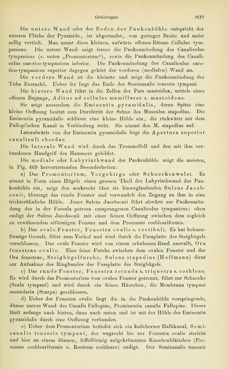 Die untere Wand oder der Boden der Paukenhöhle entspricht der unteren Fläche der Pyramide, ist abgerundet, von geringer Breite und meist zellig vertieft. Man nennt diese kleinen, aufwärts offenen Räume Cellulae tym- panicae. Die untere Wand zeigt ferner die Paukenmündung des Canaliculus tympanicus (s. unten „Promontorium), sowie die Paukenmündung des Canali- culus carotico-tympanicus inferior. Die Paukenmündung des Canaliculus caro- tico-tympanicus superior dagegen gehört der vorderen (medialen) Wand an. Die vordere Wand ist die kleinste und zeigt die Paukenmündung der Tuba Eustachii. Ueber ihr liegt das Ende des Semicanalis tensoris tympani. Die hintere Wand führt in die Zellen der Pars mastoidea, mittels eines offenen Zugangs, Aditus ad cellulas mamillares s. mastoideas. Sie zeigt ausserdem die Eminentia pyramidalis, deren Spitze eine kleine Oeffnung besitzt zum Durchtritt der Sehne des Musculus stapedius. Die Eminentia pyramidalis schliesst eine kleine Höhle ein, die rückwärts mit dem Fallopi'schen Kanal in Verbindung steht. Sie nimmt den M. stapedius auf. Lateralwärts von der Eminentia pyramidalis liegt die Apertura superior canaliculi chordae. Die laterale Wand wird durch das Trommelfell und den mit ihm ver- bundenen Handgriff des Hammers gebildet. Die mediale oder Labyrinthwand der Paukenhöhle zeigt die meisten, in Fig. 469 hervortretenden Besonderheiten: a) Das Promontorium, Vorgebirge oder Schneckenwulst. Es nimmt in Form eines Hügels einen grossen Theil der Labyrinthwand der Pau- kenhöhle ein, zeigt den senkrecht über sie hinweglaufenden Sulcus Jacob- sonii, überragt das runde Fenster und verwandelt den Zugang zu ihm in eine trichterähnliche Höhle. Jener Sulcus Jacobsonii führt abwärts zur Paukenmün- dung des in der Fossula petrosa entsprungenen Canaliculus tympanicus; oben endigt der Sulcus Jacobsonii mit einer feinen Oeffnung zwischen dem sogleich zu erwähnenden eiförmigen Fenster und dem Processus cochleariformis. b) Das ovale Fenster, Fenestra ovaliss. vestibuli. Es hat bohnen- förmige Gestalt, führt zum Vorhof und wird durch die Fussplatte des Steigbügels verschlossen. Das ovale Fenster wird von einem erhabenen Rand umwallt, Ora fenestrae ovalis. Eine feine Furche zwischen dem ovalen Fenster und der Ora fenestrae, Steigbügelfurche, Sulcus stapedius [Hoffmann] dient zur Aufnahme des Ringbandes der Fussplatte des Steigbügels. c) Das runde Fenster, Fenestra rotunda s. triquetra s. Cochleae. Es wird durch das Promontorium vom ovalen Fenster getrennt, führt zur Schnecke (Scala tympani) und wird durch ein feines Häutchen, die Membrana tympani secundaria (Scarpa) geschlossen. d) Ueber der Fenestra ovalis liegt die in die Paukenhöhle vorspringende, dünne untere Wand des Canalis Fallopiae, Prominentia canalis Fallopiae. Dieser läuft anfangs nach hinten, dann nach unten und ist mit der Höhle der Eminentia pyramidalis durch eine Oeffnung verbunden. e) Ueber dem Promontorium befindet sich ein knöcherner Halbkanal, Semi- canalis tensoris tympani, der wagrecht bis zur Fenestra ovalis streicht und hier an einem dünnen, löffeiförmig aufgekrümmten Knochenblättchen (Pro- cessus cochleariformis s. Rostrum cochleare) endigt. Der Semicanalis tensoris