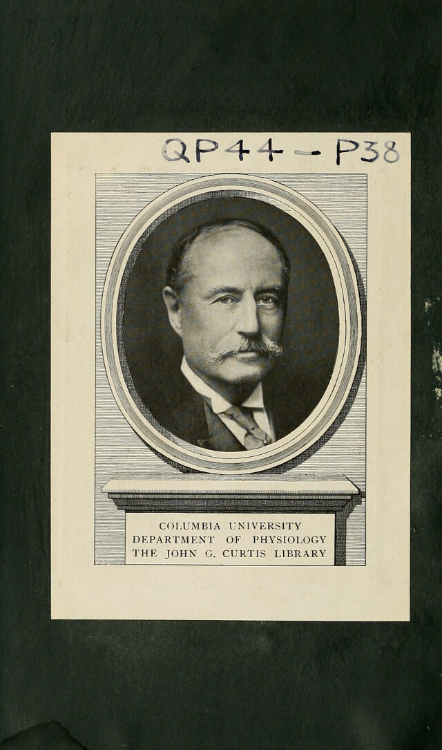 digitised image 2