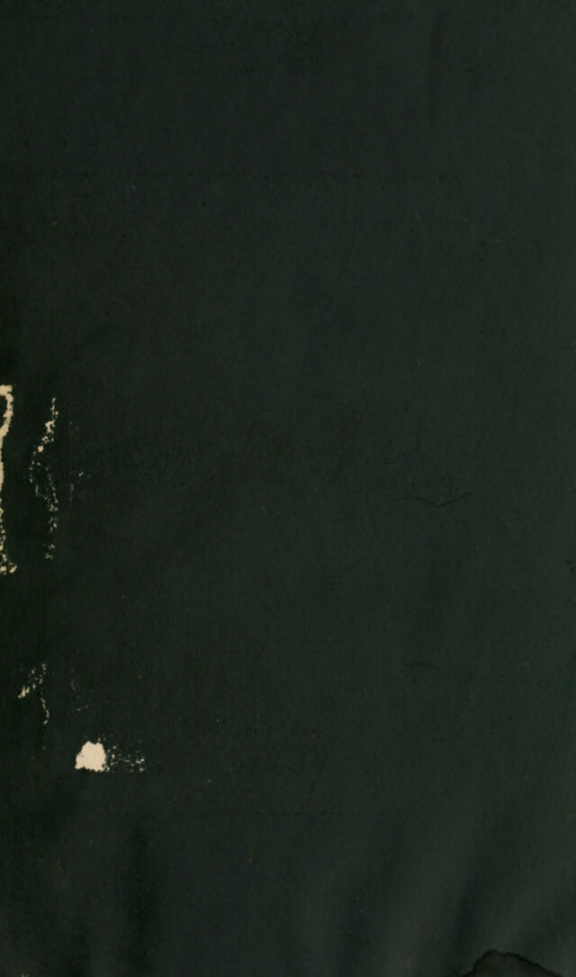 digitised image 3