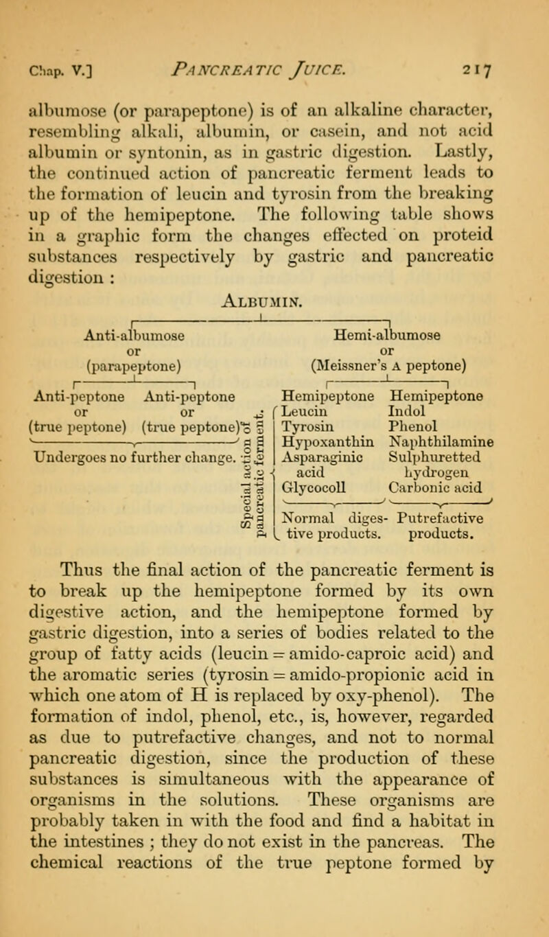 albumose (or parapeptone) is of an alkaline character, resembling alkali, albumin, or casein, and not acid albumin or syntonin, as in gastric digestion. Lastly, the continued action of pancreatic ferment leads to the formation of leucin and tyrosin from the breaking up of the hemipeptone. The following table shows in a graphic form the changes efiected on proteid substances respectively by gastric and pancreatic digestion : Albumin. Anti-albumose Hemi-albumose or or (parapeptone) (Meissner's a peptone) I ' 1 I 1 Anti-peptone Anti-peptone Hemipeptone Hemipeptone or or ^ f Leucin Indol (true peptone) (true peptone)© 2 Tyrosin Phenol Hypoxantbin Naphthilamine Asparaginic Sul])huretted acid hydrogen Glycocoll Carbonic acid d c3 QT, g Normal diges- Putrefactive Pi l^ tive products. products. Thus the final action of the pancreatic ferment is to break up the hemipeptone formed by its own digestive action, and the hemipeptone formed by gastric digestion, into a series of bodies related to the group of fatty acids (leucin = amido-caproic acid) and the aromatic series (tyrosin = amido-propionic acid in which one atom of H is replaced by oxy-phenol). The formation of indol, phenol, etc., is, however, regarded as due to putrefactive changes, and not to normal pancreatic digestion, since the production of these substances is simultaneous with the appearance of organisms in the solutions. These organisms are probably taken in with the food and find a habitat in the intestines ; they do not exist in the pancreas. The chemical reactions of the true peptone formed by