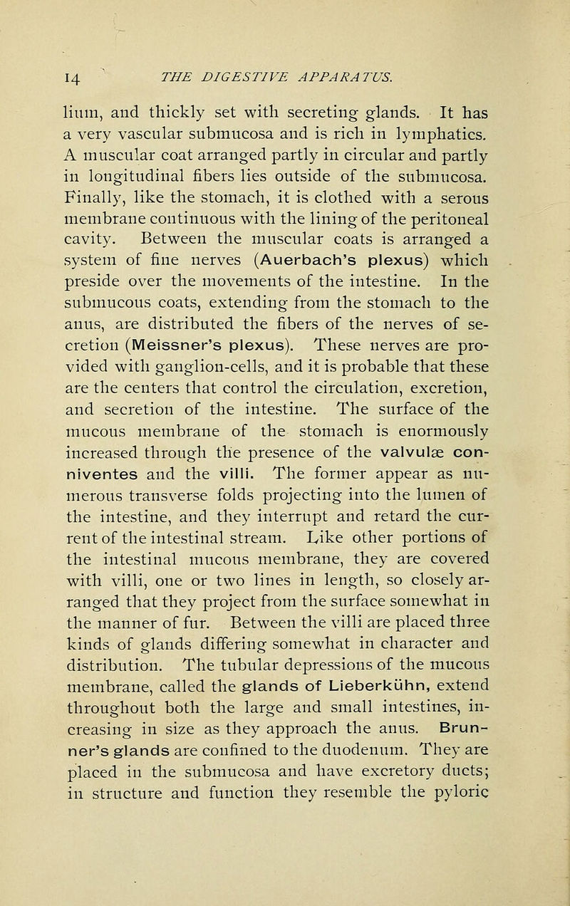 Hum, and thickly set with secreting glands. It has a very vascular submucosa and is rich in lymphatics. A muscular coat arranged partly in circular and partly in longitudinal fibers lies outside of the submucosa. Finally, like the stomach, it is clothed with a serous membrane continuous with the lining of the peritoneal cavity. Between the muscular coats is arranged a system of fine nerves (Auerbach's plexus) which preside over the movements of the intestine. In the submucous coats, extending from the stomach to the anus, are distributed the fibers of the nerves of se- cretion (Meissner's plexus). These nerves are pro- vided with ganglion-cells, and it is probable that these are the centers that control the circulation, excretion, and secretion of the intestine. The surface of the mucous membrane of the stomach is enormously increased through the presence of the valvulse con- niventes and the villi. The former appear as nu- merous transverse folds projecting into the lumen of the intestine, and they interrupt and retard the cur- rent of the intestinal stream. Like other portions of the intestinal mucous membrane, they are covered with villi, one or two lines in length, so closely ar- ranged that they project from the surface somewhat in the manner of fur. Between the villi are placed three kinds of glands differing somewhat in character and distribution. The tubular depressions of the mucous membrane, called the glands of LieberkiJhn, extend throughout both the large and small intestines, in- creasing in size as they approach the anus. Brun- ner's glands are confined to the duodenum. They are placed in the submucosa and have excretory ducts; in structure and function they resemble the pyloric