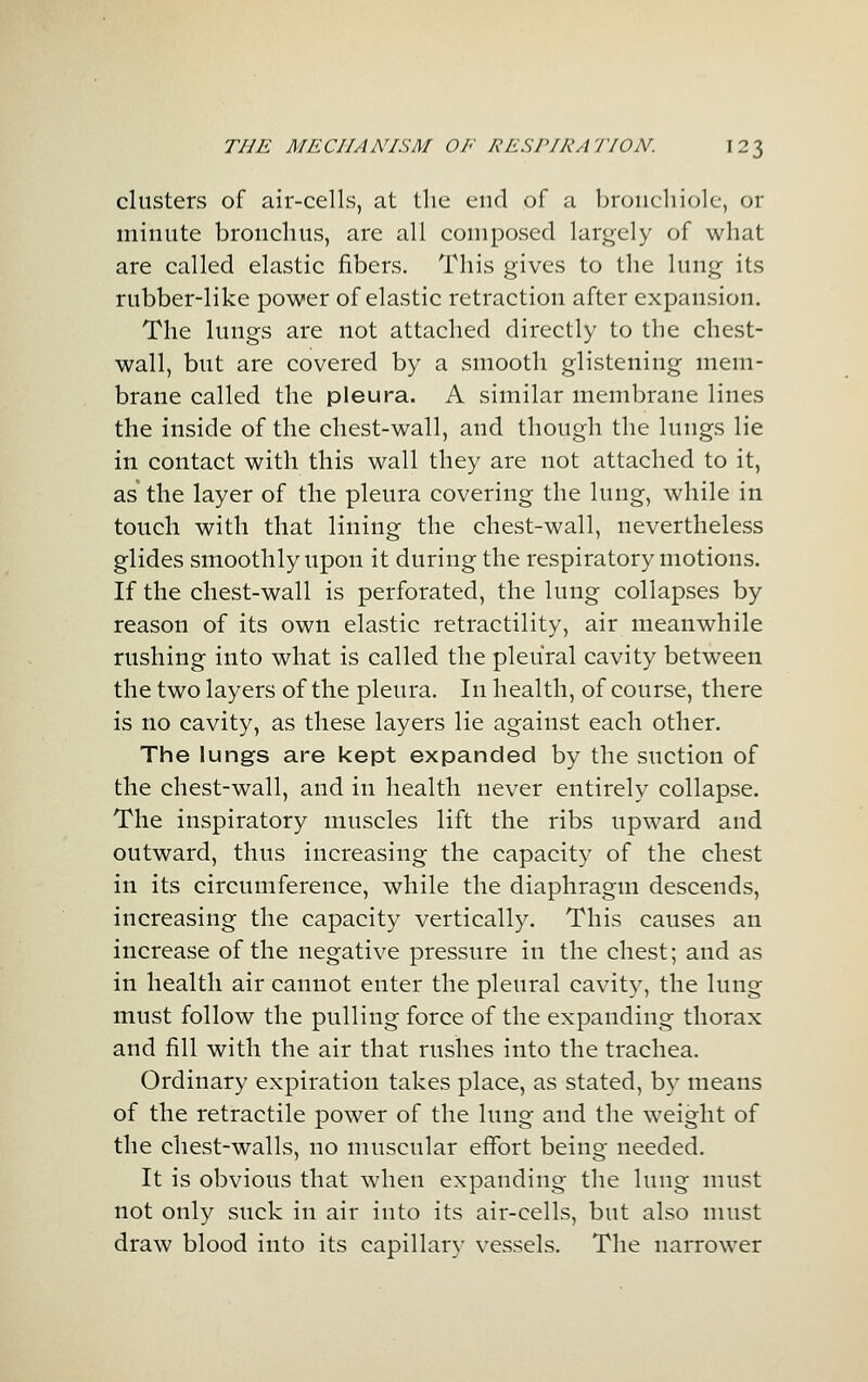 clusters of air-cells, at the end of a bronchiole, or minute bronchus, are all composed largely of what are called elastic fibers. This gives to the lung its rubber-like power of elastic retraction after expansion. The lungs are not attached directly to the chest- wall, but are covered by a smooth glistening mem- brane called the pleura. A similar membrane lines the inside of the chest-wall, and though the lungs lie in contact with this wall they are not attached to it, as* the layer of the pleura covering the lung, while in touch with that lining the chest-wall, nevertheless glides smoothly upon it during the respiratory motions. If the chest-wall is perforated, the lung collapses by reason of its own elastic retractility, air meanwhile rushing into what is called the pleural cavity between the two layers of the pleura. In health, of course, there is no cavity, as these layers lie against each other. The lungs are kept expanded by the suction of the chest-wall, and in health never entirely collapse. The inspiratory muscles lift the ribs upward and outward, thus increasing the capacity of the chest in its circumference, while the diaphragm descends, increasing the capacity vertically. This causes an increase of the negative pressure in the chest; and as in health air cannot enter the pleural cavity, the lung must follow the pulling force of the expanding thorax and fill with the air that rushes into the trachea. Ordinary expiration takes place, as stated, by means of the retractile power of the lung and the weight of the chest-walls, no muscular effort being needed. It is obvious that when expanding the lung must not only suck in air into its air-cells, but also must draw blood into its capillary vessels. The narrower