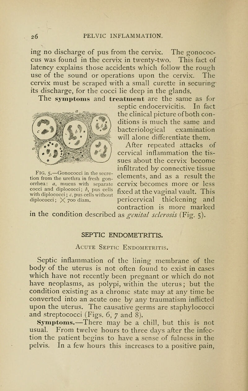 ing no discharge of pus from the cervix. The gonococ- cus was found in the cervix in twenty-two. This fact of latency explains those accidents which follow the rough use of the sound or operations upon the cervix. The cervix must be scraped with a small curette in securing its discharge, for the cocci lie deep in the glands. The symptoms and treatment are the same as for septic endocervicitis. In fact the clinical picture of both con- ditions is much the same and bacteriological examination will alone differentiate them. After repeated attacks of cervical inflammation the tis- sues about the cervix become infiltrated by connective tissue elements, and as a result the cervix becomes more or less fixed at the vaginal vault. This pericervical thickening and contraction is more marked in the condition described as genital sclerosis (Fig. 5). Fig. 5.—Gonococci in the secre- tion from the urethra in fresh gon- orrhea: a, mucus with separate cocci and diplococci; b, pus cells with diplococci; c, pus cells without diplococci; X 7°° diam. SEPTIC ENDOMETRITIS. Acute Septic Endometritis. Septic inflammation of the lining membrane of the body of the uterus is not often found to exist in cases which have not recently been pregnant or which do not have neoplasms, as polypi, within the uterus; but the condition existing as a chronic state may at any time be converted into an acute one by any traumatism inflicted upon the uterus. The causative germs are staphylococci and streptococci (Figs. 6, 7 and 8). Symptoms.—There may be a chill, but this is not usual. From twelve hours to three days after the infec- tion the patient begins to have a sense of fulness in the pelvis. In a {q\^ hours this increases to a positive pain,