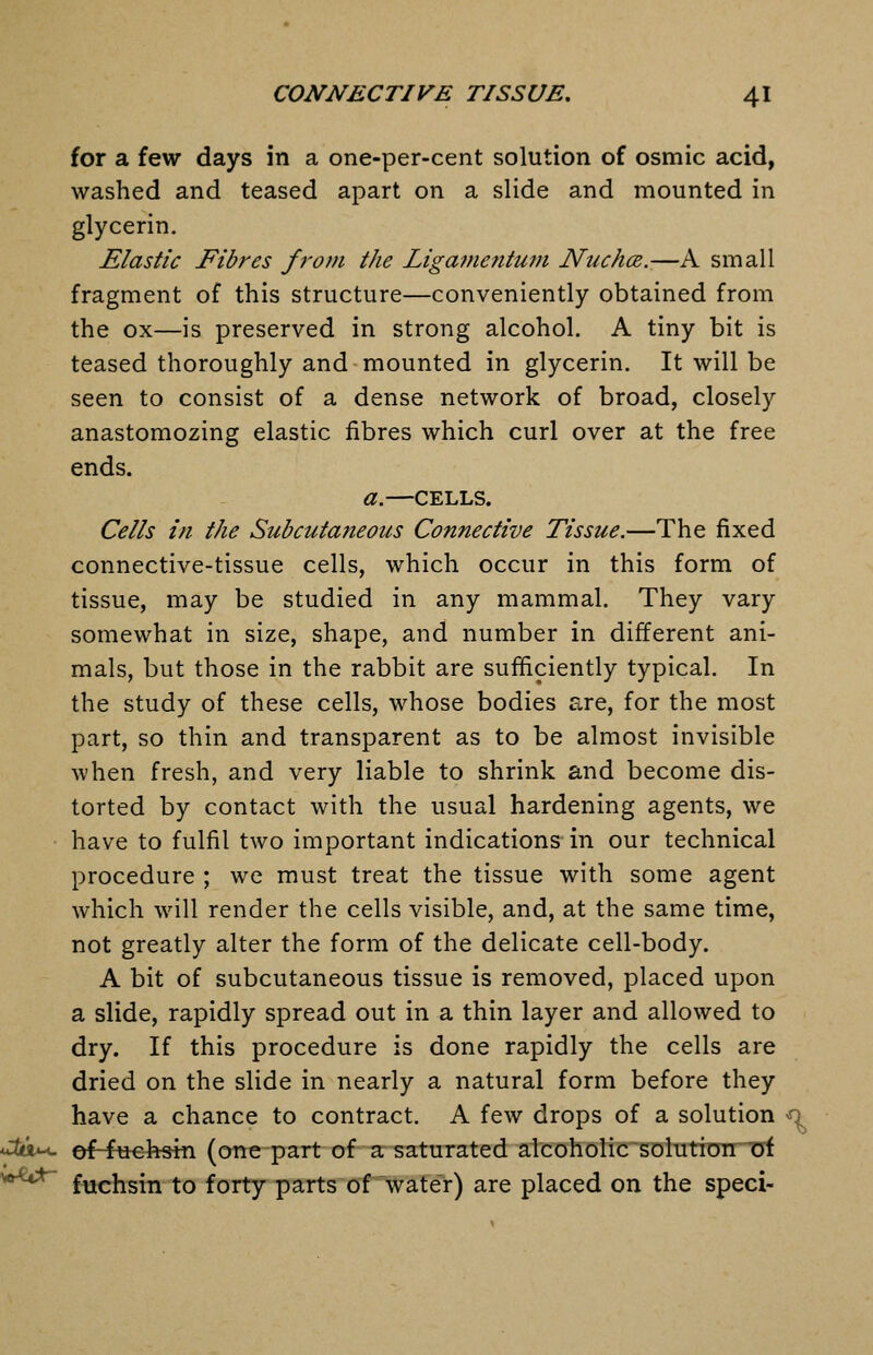 for a few days in a one-per-cent solution of osmic acid, washed and teased apart on a slide and mounted in glycerin. Elastic Fibres fj-om the Ligamentum NuchcB.—A small fragment of this structure—conveniently obtained from the ox—is preserved in strong alcohol. A tiny bit is teased thoroughly and-mounted in glycerin. It will be seen to consist of a dense network of broad, closely anastomozing elastic fibres which curl over at the free ends. a.—CELLS. Cells in the Subcutaneous Connective Tissue.—The fixed connective-tissue cells, which occur in this form of tissue, may be studied in any mammal. They vary somewhat in size, shape, and number in different ani- mals, but those in the rabbit are sufficiently typical. In the study of these cells, whose bodies are, for the most part, so thin and transparent as to be almost invisible when fresh, and very liable to shrink and become dis- torted by contact with the usual hardening agents, we have to fulfil two important indications in our technical procedure ; we must treat the tissue with some agent which will render the cells visible, and, at the same time, not greatly alter the form of the delicate cell-body. A bit of subcutaneous tissue is removed, placed upon a slide, rapidly spread out in a thin layer and allowed to dry. If this procedure is done rapidly the cells are dried on the slide in nearly a natural form before they have a chance to contract. A few drops of a solution ^^^ *«^fita*-<- ef4u€hsm (one part of a saturated alcoholic solution uf ^^'^^^ fuchsin to forty parts of water) are placed on the speci-