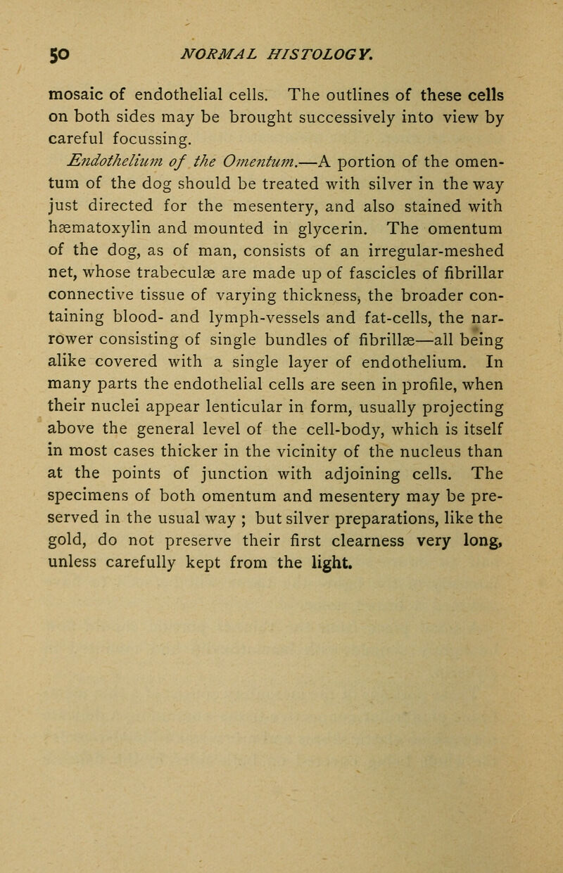 mosaic of endothelial cells. The outlines of these cells on both sides may be brought successively into view by careful focussing. Endotheliuut of the Omentum.—A portion of the omen- tum of the dog should be treated with silver in the way just directed for the mesentery, and also stained with hsematoxylin and mounted in glycerin. The omentum of the dog, as of man, consists of an irregular-meshed net, whose trabeculae are made up of fascicles of fibrillar connective tissue of varying thickness, the broader con- taining blood- and lymph-vessels and fat-cells, the nar- rower consisting of single bundles of fibrillse—ail being alike covered with a single layer of endothelium. In many parts the endothelial cells are seen in profile, when their nuclei appear lenticular in form, usually projecting above the general level of the cell-body, which is itself in most cases thicker in the vicinity of the nucleus than at the points of junction with adjoining cells. The specimens of both omentum and mesentery may be pre- served in the usual way ; but silver preparations, like the gold, do not preserve their first clearness very long, unless carefully kept from the light.
