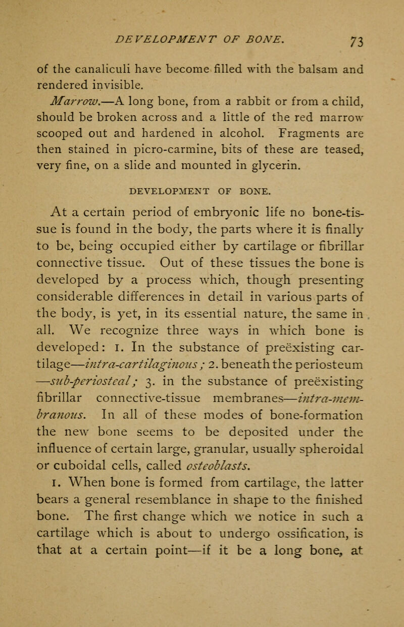 of the canaliculi have become filled with the balsam and rendered invisible. Marrow.—A long bone, from a rabbit or from a child, should be broken across and a little of the red marrow- scooped out and hardened in alcohol. Fragments are then stained in picro-carmine, bits of these are teased, very fine, on a slide and mounted in glycerin, DEVELOPMENT OF BONE. At a certain period of embryonic life no bone-tis- sue is found in the body, the parts where it is finally to be, being occupied either by cartilage or fibrillar connective tissue. Out of these tissues the bone is developed by a process which, though presenting considerable differences in detail in various parts of the body, is yet, in its essential nature, the same in all. We recognize three ways in which bone is developed: i. In the substance of preexisting car- tilage—intra-cartilaginoiis; 2. beneath the periosteum —sub-periosteal; 3. in the substance of preexisting fibrillar connective-tissue membranes—intra-Diem- branoiis. In all of these modes of bone-formation the new bone seems to be deposited under the influence of certain large, granular, usually spheroidal or cuboidal cells, called osteoblasts. I. When bone is formed from cartilage, the latter bears a general resemblance in shape to the finished bone. The first change which we notice in such a cartilage which is about to undergo ossification, is that at a certain point—if it be a long bone, at