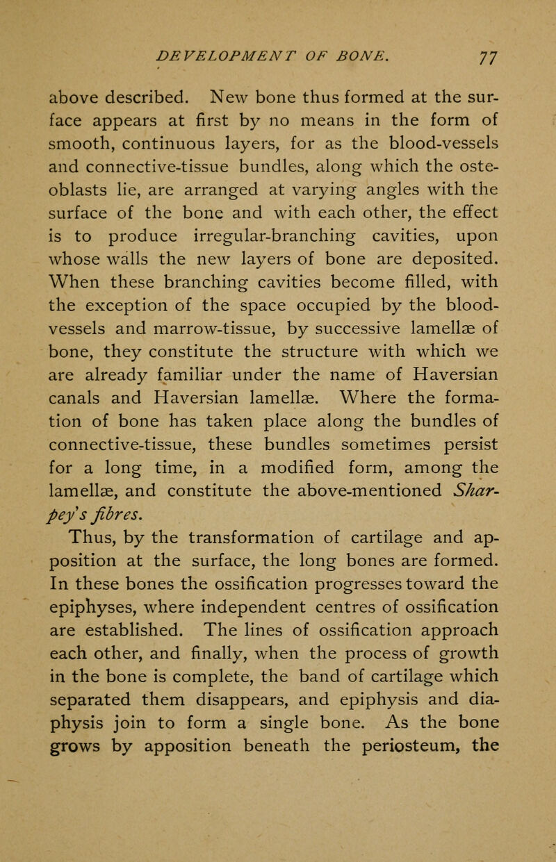 above described. New bone thus formed at the sur- face appears at first by no means in the form of smooth, continuous layers, for as the blood-vessels and connective-tissue bundles, along which the oste- oblasts lie, are arranged at varying angles with the surface of the bone and with each other, the effect is to produce irregular-branching cavities, upon whose walls the new layers of bone are deposited. When these branching cavities become filled, with the exception of the space occupied by the blood- vessels and marrow-tissue, by successive lamellae of bone, they constitute the structure with which we are already familiar under the name of Haversian canals and Haversian lamellae. Where the forma- tion of bone has taken place along the bundles of connective-tissue, these bundles sometimes persist for a long time, in a modified form, among the lamellae, and constitute the above-mentioned Shar- peys fibres. Thus, by the transformation of cartilage and ap- position at the surface, the long bones are formed. In these bones the ossification progresses toward the epiphyses, where independent centres of ossification are established. The lines of ossification approach each other, and finally, when the process of growth in the bone is complete, the band of cartilage which separated them disappears, and epiphysis and dia- physis join to form a single bone. As the bone grows by apposition beneath the periosteum, the