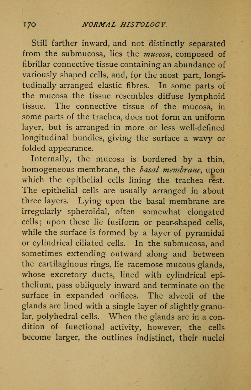 Still farther inward, and not distinctly separated from the submucosa, lies the mucosa, composed of fibrillar connective tissue containing an abundance of variously shaped cells, and, for the most part, longi- tudinally arranged elastic fibres. In some parts of the mucosa the tissue resembles diffuse lymphoid tissue. The connective tissue of the mucosa, in some parts of the trachea, does not form an uniform layer, but is arranged in more or less well-defined longitudinal bundles, giving the surface a wavy or folded appearance. Internally, the mucosa is bordered by a thin, homogeneous membrane, the basal membrane, upon which the epithelial cells lining the trachea rest. The epithelial cells are usually arranged in about three layers. Lying upon the basal membrane are irregularly spheroidal, often somewhat elongated cells; upon these lie fusiform or pear-shaped cells, while the surface is formed by a layer of pyramidal or cylindrical ciliated cells. In the submucosa, and sometimes extending outward along and between the cartilaginous rings, lie racemose mucous glands, whose excretory ducts, lined with cylindrical epi- thehum, pass obliquely inward and terminate on the surface in expanded orifices. The alveoli of the glands are lined with a single layer of slightly granu- lar, polyhedral cells. When the glands are in a con- dition of functional activity, however, the cells become larger, the outlines indistinct, their nuclei