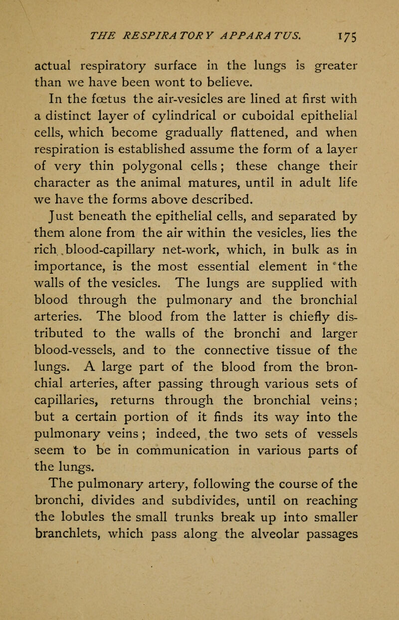 actual respiratory surface in the lungs is greater than we have been wont to believe. In the foetus the air-vesicles are lined at first with a distinct layer of cylindrical or cuboidal epithelial cells, which become gradually flattened, and when respiration is established assume the form of a layer of very thin polygonal cells; these change their character as the animal matures, until in adult life we have the forms above described. Just beneath the epithelial cells, and separated by them alone from the air within the vesicles, lies the rich .blood-capillary net-work, which, in bulk as in importance, is the most essential element in'the walls of the vesicles. The lungs are supplied with blood through the pulmonary and the bronchial arteries. The blood from the latter is chiefly dis- tributed to the walls of the bronchi and larger blood-vessels, and to the connective tissue of the lungs. A large part of the blood from the bron- chial arteries, after passing through various sets of capillaries, returns through the bronchial veins; but a certain portion of it finds its way into the pulmonary veins ; indeed, the two sets of vessels seem to be in communication in various parts of the lungs. The pulmonary artery, following the course of the bronchi, divides and subdivides, until on reaching the lobules the small trunks break up into smaller branchlets, which pass along the alveolar passages