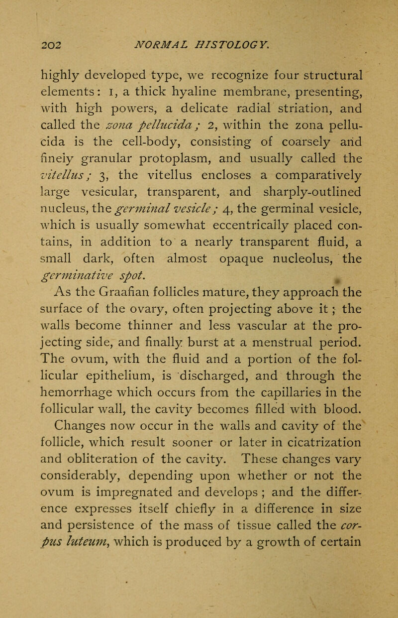 highly developed type, we recognize four structural elements: i, a thick hyaline membrane, presenting, with high powers, a delicate radial striation, and called the zona pellucida; 2, within the zona pellu- cida is the cell-body, consisting of coarsely arid finely granular protoplasm, and usually called the vitellus; 3, the vitellus encloses a comparatively large vesicular, transparent, and sharply-outlined nucleus, th.Q germinal vesicle; 4, the germinal vesicle, which is usually somewhat eccentrically placed con- tains, in addition to a nearly transparent fluid, a small dark, often almost opaque nucleolus, the germinative spot. As the Graafian follicles mature, they approach the surface of the ovary, often projecting above it; the walls become thinner and less vascular at the pro- jecting side, and finally burst at a menstrual period. The ovum, with the fluid and a portion of the fol- licular epithelium, is discharged, and through the hemorrhage which occurs from the capillaries in the follicular wall, the cavity becomes filled with blood. Changes now occur in the walls and cavity of the follicle, which result sooner or later in cicatrization and obliteration of the cavity. These changes vary considerably, depending upon whether or not the ovum is impregnated and develops ; and the differ- ence expresses itself chiefly in a difference in size and persistence of the mass of tissue called the cor- pus luteuMy which is produced by a growth of certain