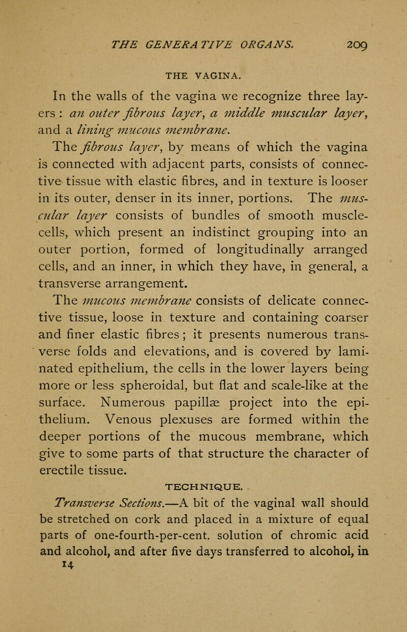 THE VAGINA. In the walls of the vagina we recognize three lay- ers : an outer fibrous layer, a middle muscular layer, and a lining mucous membrane. ThQ fibrous layer, by means of which the vagina is connected with adjacent parts, consists of connec- tive tissue with elastic fibres, and in texture is looser in its outer, denser in its inner, portions. The mus- cular layer consists of bundles of smooth muscle- cells, which present an indistinct grouping into an outer portion, formed of longitudinally arranged cells, and an inner, in which they have, in general, a transverse arrangement. The mucous membrane consists of delicate connec- tive tissue, loose in texture and containing coarser and finer elastic fibres; it presents numerous trans- verse folds and elevations, and is covered by lami- nated epithelium, the cells in the lower layers being more or less spheroidal, but flat and scale-like at the surface. Numerous papillse project into the epi- thelium. Venous plexuses are formed within the deeper portions of the mucous membrane, which give to some parts of that structure the character of erectile tissue. TECHNIQUE. Transverse Sections.—A bit of the vaginal wall should be stretched on cork and placed in a mixture of equal parts of one-fourth-per-cent. solution of chromic acid and alcohol, and after five days transferred to alcohol, in