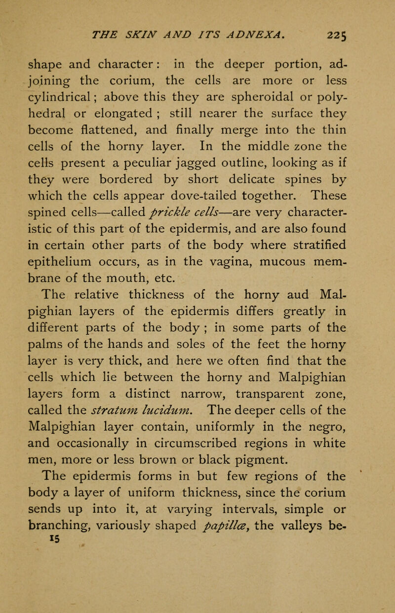 shape and character: in the deeper portion, ad- joining the corium, the cells are more or less cylindrical; above this they are spheroidal or poly- hedral or elongated ; still nearer the surface they become flattened, and finally merge into the thin cells of the horny layer. In the middle zone the cells present a peculiar jagged outline, looking as if they were bordered by short delicate spines by which the cells appear dove-tailed together. These spined cells—called prickle cells—are very character- istic of this part of the epidermis, and are also found in certain other parts of the body where stratified epithelium occurs, as in the vagina, mucous mem- brane of the mouth, etc. The relative thickness of the horny aud Mal- pighian layers of the epidermis differs greatly in different parts of the body ; in some parts of the palms of the hands and soles of the feet the horny layer is very thick, and here we often find that the cells which lie between the horny and Malpighian layers form a distinct narrow, transparent zone, called the stratum lucidum. The deeper cells of the Malpighian layer contain, uniformly in the negro, and occasionally in circumscribed regions in white men, more or less brown or black pigment. The epidermis forms in but few regions of the body a layer of uniform thickness, since the corium sends up into it, at varying intervals, simple or branching, variously shaped papillcBy the valleys be- 15