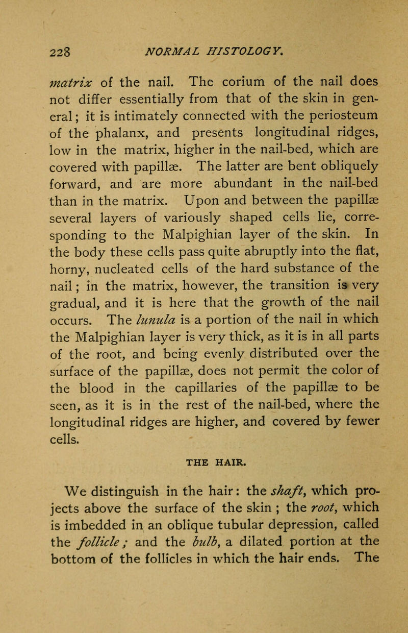 matrix of the nail. The corium of the nail does not differ essentially from that of the skin in gen- eral ; it is intimately connected with the periosteum of the phalanx, and presents longitudinal ridges, low in the matrix, higher in the nail-bed, which are covered with papillae. The latter are bent obliquely forward, and are more abundant in the nail-bed than in the matrix. Upon and between the papillae several layers of variously shaped cells lie, corre- sponding to the Malpighian layer of the skin. In the body these cells pass quite abruptly into the flat, horny, nucleated cells of the hard substance of the nail; in the matrix, however, the transition is very gradual, and it is here that the growth of the nail occurs. The lunula is a portion of the nail in which the Malpighian layer is very thick, as it is in all parts of the root, and being evenly distributed over the surface of the papillae, does not permit the color of the blood in the capillaries of the papillae to be seen, as it is in the rest of the nail-bed, where the longitudinal ridges are higher, and covered by fewer cells. THE HAIR. We distinguish in the hair: the shafts which pro- jects above the surface of the skin ; the root, which is imbedded in an oblique tubular depression, called the follicle; and the bulb, a dilated portion at the bottom of the follicles in which the hair ends. The