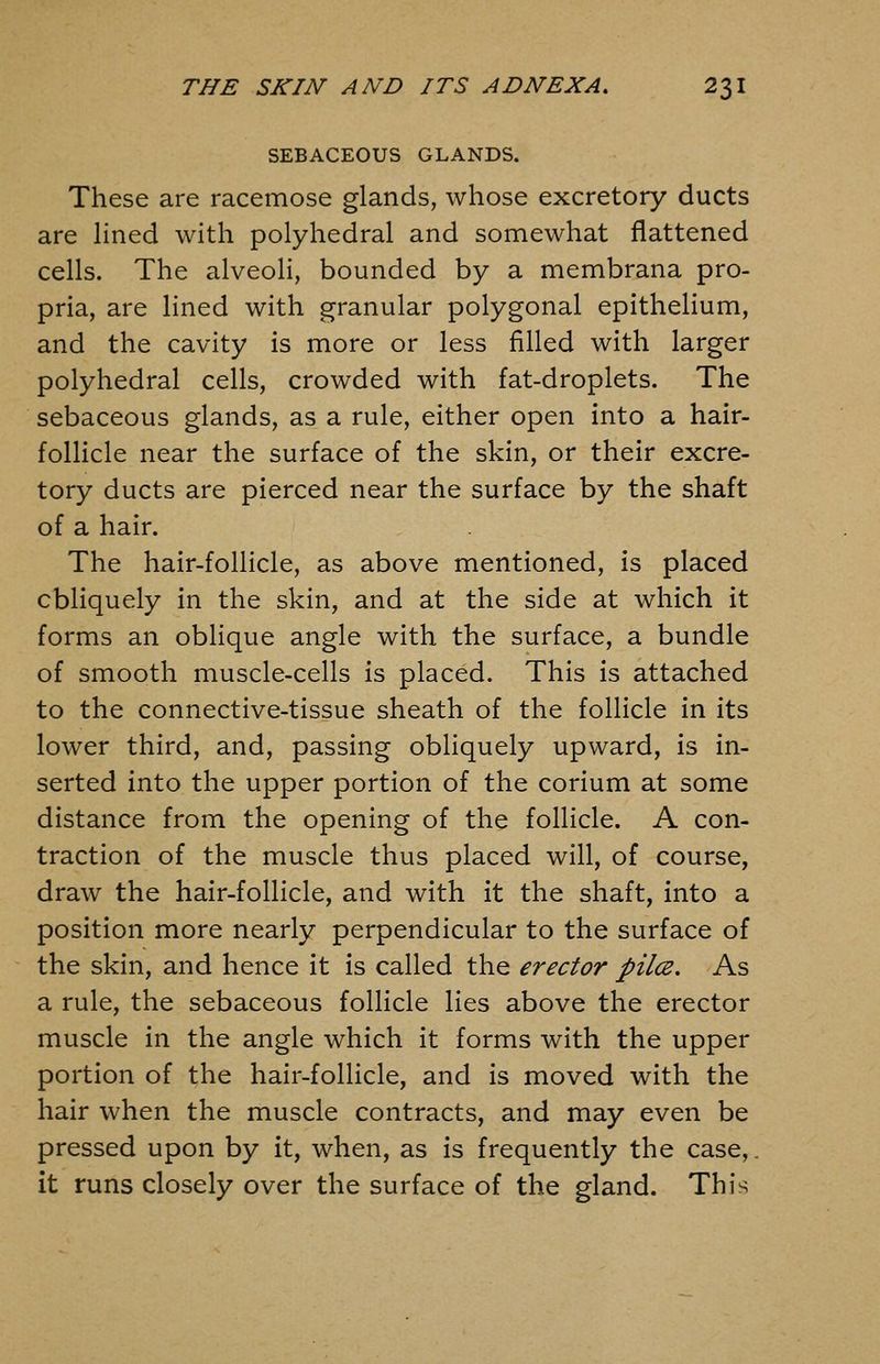 SEBACEOUS GLANDS. These are racemose glands, whose excretory ducts are lined with polyhedral and somewhat flattened cells. The alveoH, bounded by a membrana pro- pria, are lined with granular polygonal epithelium, and the cavity is more or less filled with larger polyhedral cells, crowded with fat-droplets. The sebaceous glands, as a rule, either open into a hair- follicle near the surface of the skin, or their excre- tory ducts are pierced near the surface by the shaft of a hair. The hair-follicle, as above mentioned, is placed cbliquely in the skin, and at the side at which it forms an oblique angle with the surface, a bundle of smooth muscle-cells is placed. This is attached to the connective-tissue sheath of the follicle in its lower third, and, passing obliquely upward, is in- serted into the upper portion of the corium at some distance from the opening of the follicle. A con- traction of the muscle thus placed will, of course, draw the hair-follicle, and with it the shaft, into a position more nearly perpendicular to the surface of the skin, and hence it is called the erector piles. As a rule, the sebaceous follicle lies above the erector muscle in the angle which it forms with the upper portion of the hair-follicle, and is moved with the hair when the muscle contracts, and may even be pressed upon by it, when, as is frequently the case,, it runs closely over the surface of the gland. This