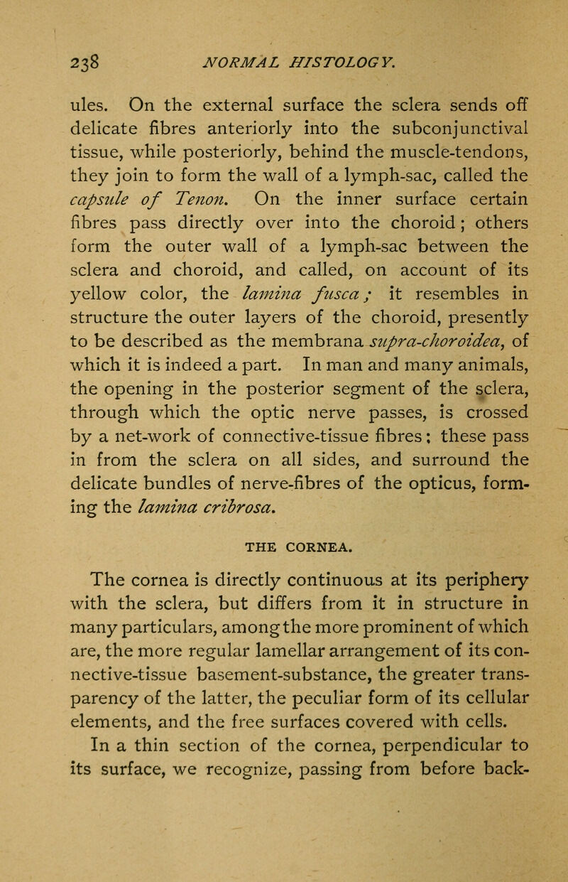 ules. On the external surface the sclera sends off delicate fibres anteriorly into the subconjunctival tissue, while posteriorly, behind the muscle-tendons, they join to form the wall of a lymph-sac, called the capsule of Tenon. On the inner surface certain fibres pass directly over into the choroid; others form the outer wall of a lymph-sac between the sclera and choroid, and called, on account of its yellow color, the lamijta fuse a; it resembles in structure the outer layers of the choroid, presently to be described as the membrana supra-choroidea, of which it is indeed a part. In man and many animals, the opening in the posterior segment of the sclera, through which the optic nerve passes, is crossed by a net-work of connective-tissue fibres; these pass in from the sclera on all sides, and surround the delicate bundles of nerve-fibres of the opticus, form- ing the lamina cribrosa, THE CORNEA. The cornea is directly continuous at its periphery with the sclera, but differs from it in structure in many particulars, among the more prominent of which are, the more regular lamellar arrangement of its con- nective-tissue basement-substance, the greater trans- parency of the latter, the peculiar form of its cellular elements, and the free surfaces covered with cells. In a thin section of the cornea, perpendicular to its surface, we recognize, passing from before back-