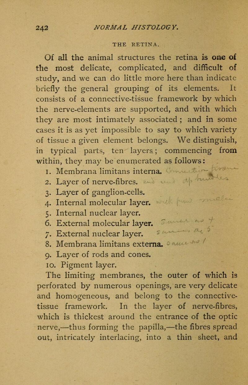 THE RETINA. Of all the animal structures the retina is one of the most delicate, complicated, and difficult of study, and we can do little more here than indicate briefly the general grouping of its elements. It consists of a connective-tissue framework by which the nerve-elements are supported, and with which they are most intimately associated ; and in some cases it is as yet impossible to say to which variety of tissue a given element belongs. We distinguish, in typical parts, ten layers; commencing from within, they may be enurnerated as follows: 1. Membrana limitans interna. ^>^-.^-..>-^ 2. Layer of nerve-fibres. ^-J^ ^^.^.^jsrAji^ 3. Layer of ganglion-cells. 4. Internal molecular layer, 5. Internal nuclear layer. 6. External molecular layer. 7. External nuclear layer. - 8. Membrana limitans externa. 9. Layer of rods and cones. 10. Pigment layer. The limiting membranes, the outer of which is perforated by numerous openings, are very delicate and homogeneous, and belong to the connective- tissue framework. In the layer of nerve-fibres, which is thickest around the entrance of the optic nerve,—thus forming the papilla,—the fibres spread out, intricately interlacing, into a thin sheet, and