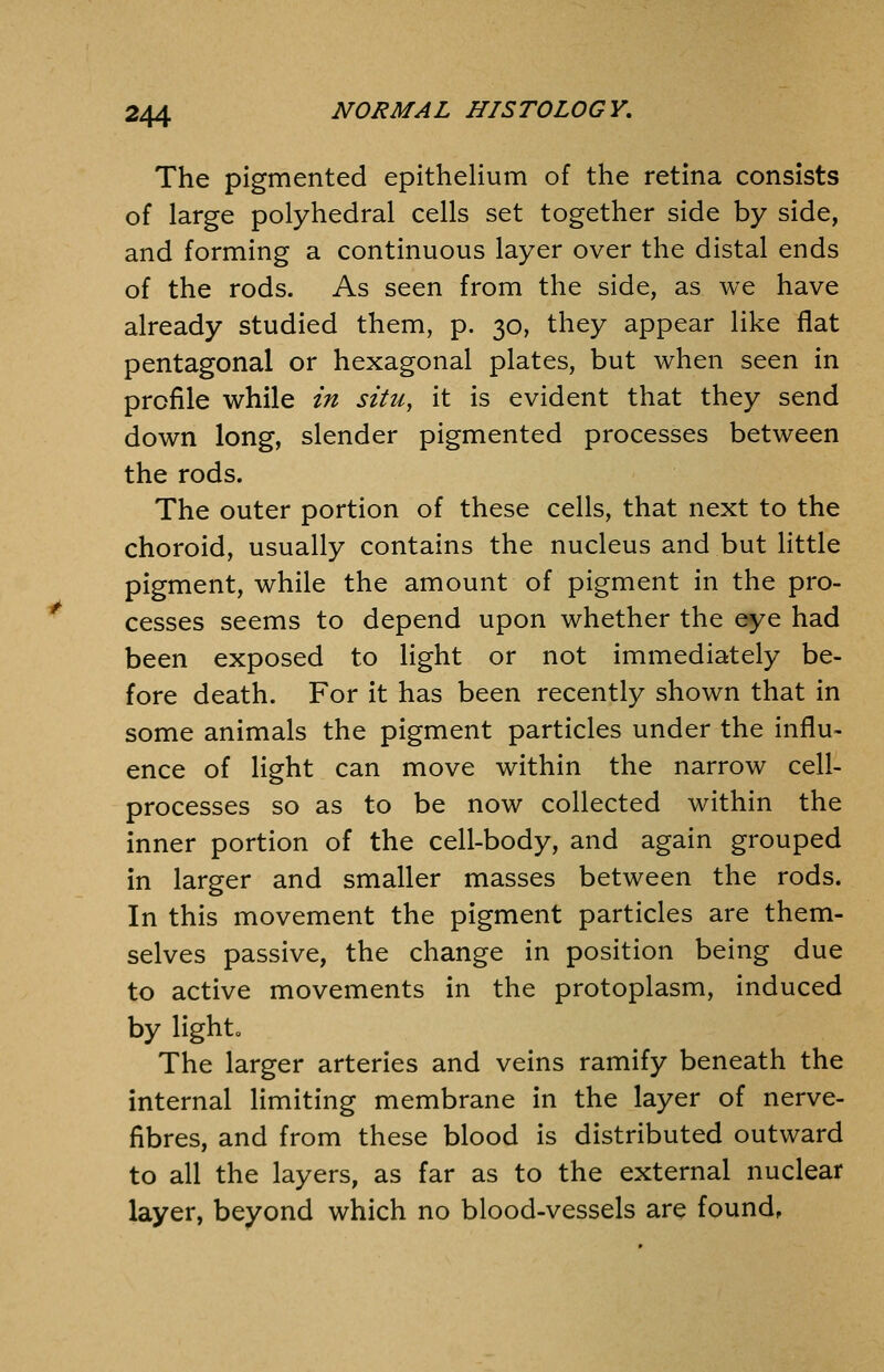 The pigmented epithelium of the retina consists of large polyhedral cells set together side by side, and forming a continuous layer over the distal ends of the rods. As seen from the side, as we have already studied them, p. 30, they appear like fiat pentagonal or hexagonal plates, but when seen in profile while in situ, it is evident that they send down long, slender pigmented processes between the rods. The outer portion of these cells, that next to the choroid, usually contains the nucleus and but little pigment, while the amount of pigment in the pro- cesses seems to depend upon whether the eye had been exposed to light or not immediately be- fore death. For it has been recently shown that in some animals the pigment particles under the influ- ence of light can move within the narrow cell- processes so as to be now collected within the inner portion of the cell-body, and again grouped in larger and smaller masses between the rods. In this movement the pigment particles are them- selves passive, the change in position being due to active movements in the protoplasm, induced by lighto The larger arteries and veins ramify beneath the internal limiting membrane in the layer of nerve- fibres, and from these blood is distributed outward to all the layers, as far as to the external nuclear layer, beyond which no blood-vessels are found,