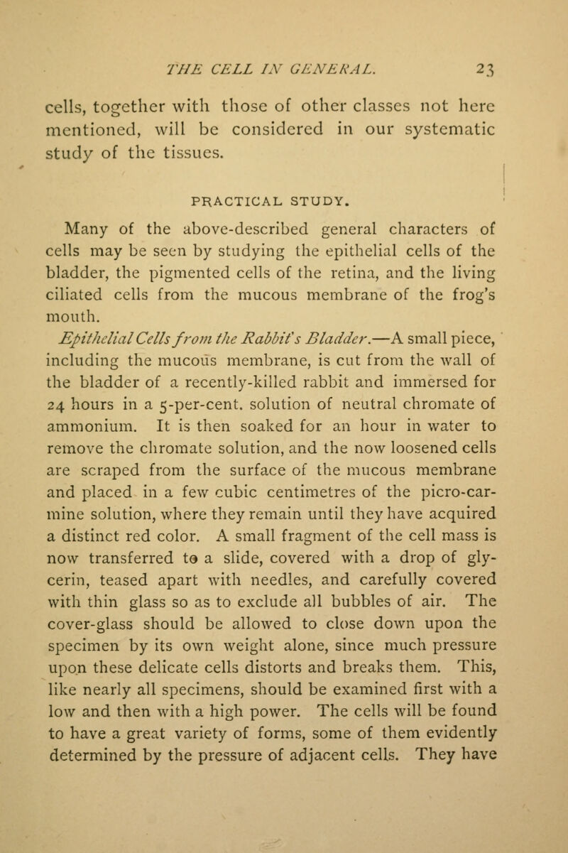 cells, together with those of other classes not here mentioned, will be considered in our systematic study of the tissues. PRACTICAL STUDY. Many of the above-described general characters of cells may be seen by studying the epithelial cells of the bladder, the pigmented cells of the retina, and the living ciliated cells from the mucous membrane of the frog's mouth. Epithelial Cells from the Rabbit's Bladder.—A small piece, including the mucous membrane, is cut from the wall of the bladder of a recently-killed rabbit and immersed for 24 hours in a 5-per-cent. solution of neutral chromate of ammonium. It is then soaked for an hour in water to remove the chromate solution, and the now loosened cells are scraped from the surface of the mucous membrane and placed in a few cubic centimetres of the picro-car- mine solution, where they remain until they have acquired a distinct red color. A small fragment of the cell mass is now transferred ta a slide, covered with a drop of gly- cerin, teased apart with needles, and carefully covered with thin glass so as to exclude all bubbles of air. The cover-glass should be allowed to close down upon the specimen by its own weight alone, since much pressure upon these delicate cells distorts and breaks them. This, like nearly all specimens, should be examined first with a low and then with a high power. The cells will be found to have a great variety of forms, some of them evidently determined by the pressure of adjacent cells. They have