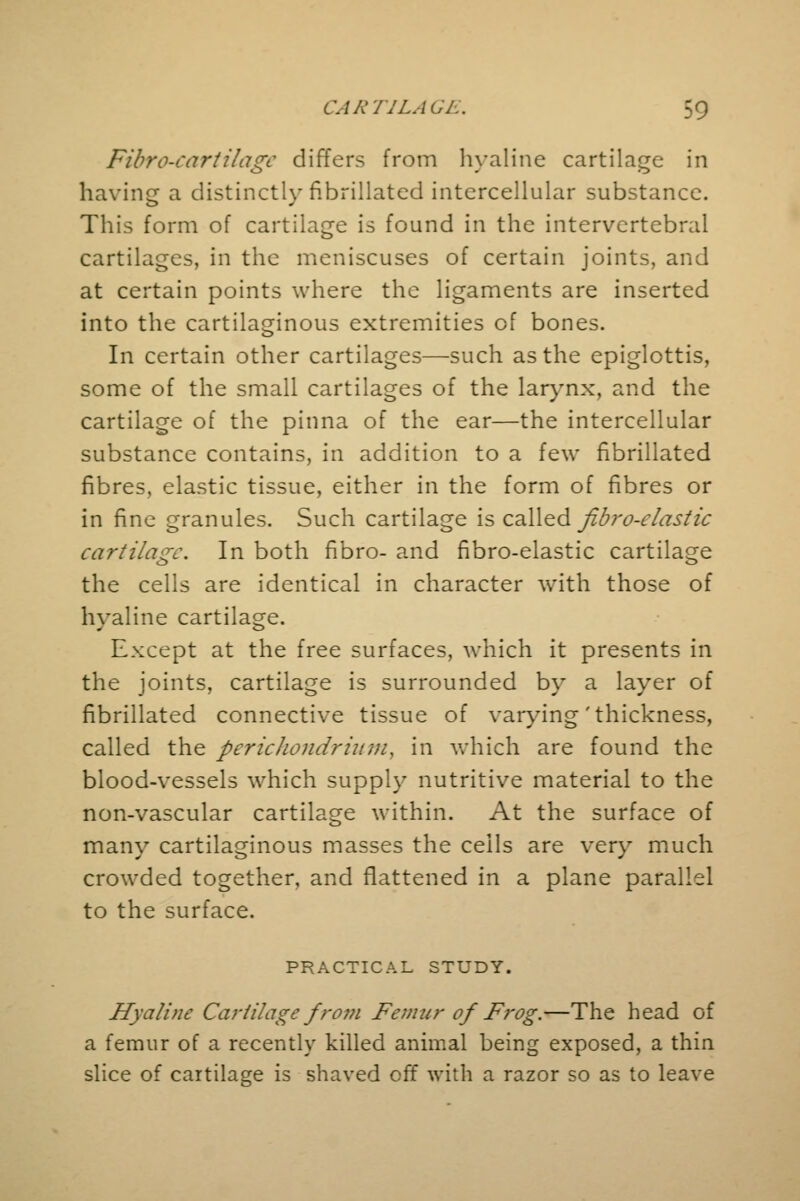Fibro-cartilage differs from hyaline cartilage in having a distinctly fibrillated intercellular substance. This form of cartilage is found in the intervertebral cartilages, in the meniscuses of certain joints, and at certain points where the ligaments are inserted into the cartilaginous extremities of bones. In certain other cartilages—such as the epiglottis, some of the small cartilages of the larynx, and the cartilage of the pinna of the ear—the intercellular substance contains, in addition to a few fibrillated fibres, elastic tissue, either in the form of fibres or in fine granules. Such cartilage is called fibro-elastic cartilage. In both fibro- and fibro-elastic cartilage the cells are identical in character with those of hyaline cartilage. Except at the free surfaces, which it presents in the joints, cartilage is surrounded by a layer of fibrillated connective tissue of varying 'thickness, called the perichondrium', in which are found the blood-vessels which supply nutritive material to the non-vascular cartilage within. At the surface of many cartilaginous masses the ceils are very much crowded together, and flattened in a plane parallel to the surface. PRACTICAL STUDY. Hyaline Cartilage from Femur of Frog.—The head of a femur of a recently killed animal being exposed, a thin slice of cartilage is shaved off with a razor so as to leave