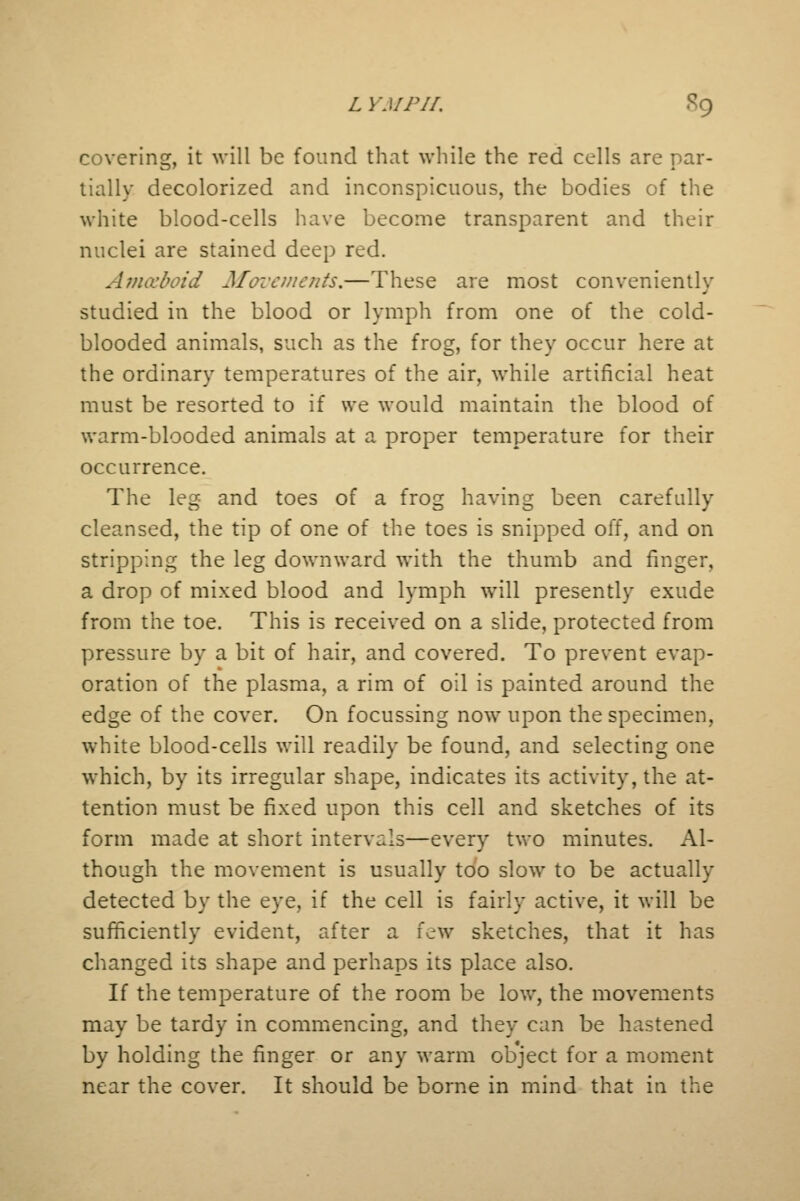 covering, it will be found that while the red cells are par- tially decolorized and inconspicuous, the bodies of the white blood-cells have become transparent and their nuclei are stained deep red. Amoeboid Movements.—These are most conveniently studied in the blood or lymph from one of the cold- blooded animals, such as the frog, for they occur here at the ordinary temperatures of the air, while artificial heat must be resorted to if we would maintain the blood of warm-blooded animals at a proper temperature for their occurrence. The leg and toes of a frog having been carefully cleansed, the tip of one of the toes is snipped off, and on stripping the leg downward with the thumb and finger, a drop of mixed blood and lymph will presently exude from the toe. This is received on a slide, protected from pressure by a bit of hair, and covered. To prevent evap- oration of the plasma, a rim of oil is painted around the edge of the cover. On focussing now upon the specimen, white blood-cells will readily be found, and selecting one which, by its irregular shape, indicates its activity, the at- tention must be fixed upon this cell and sketches of its form made at short intervals—every two minutes. Al- though the movement is usually too slow to be actually detected by the eye, if the cell is fairly active, it will be sufficiently evident, after a few sketches, that it has changed its shape and perhaps its place also. If the temperature of the room be low, the movements may be tardy in commencing, and they can be hastened by holding the finger or any warm object for a moment near the cover. It should be borne in mind that in the
