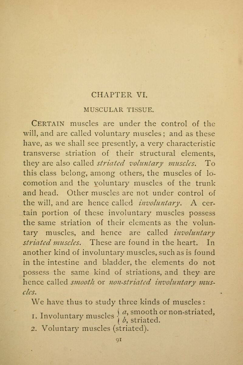 CHAPTER VI. MUSCULAR TISSUE. Certain muscles are under the control of the will, and are called voluntary muscles; and as these have, as we shall see presently, a very characteristic transverse striation of their structural elements, they are also called striated voluntary muscles. To this class belong, among others, the muscles of lo- comotion and the voluntary muscles of the trunk and head. Other muscles are not under control of the will, and are hence called involuntary. A cer- tain portion of these involuntary muscles possess the same striation of their elements as the volun- tary muscles, and hence are called involuntary striated muscles. These are found in the heart. In another kind of involuntary muscles, such as is found in the intestine and bladder, the elements do not possess the same kind of striations, and they are hence called smooth or non-striated involuntary mus- cles. We have thus to study three kinds of muscles : T , , , ( a, smooth or non-striated, 1. Involuntary muscles \ 7 , . , , / 0) striated. 2. Voluntary muscles (striated).