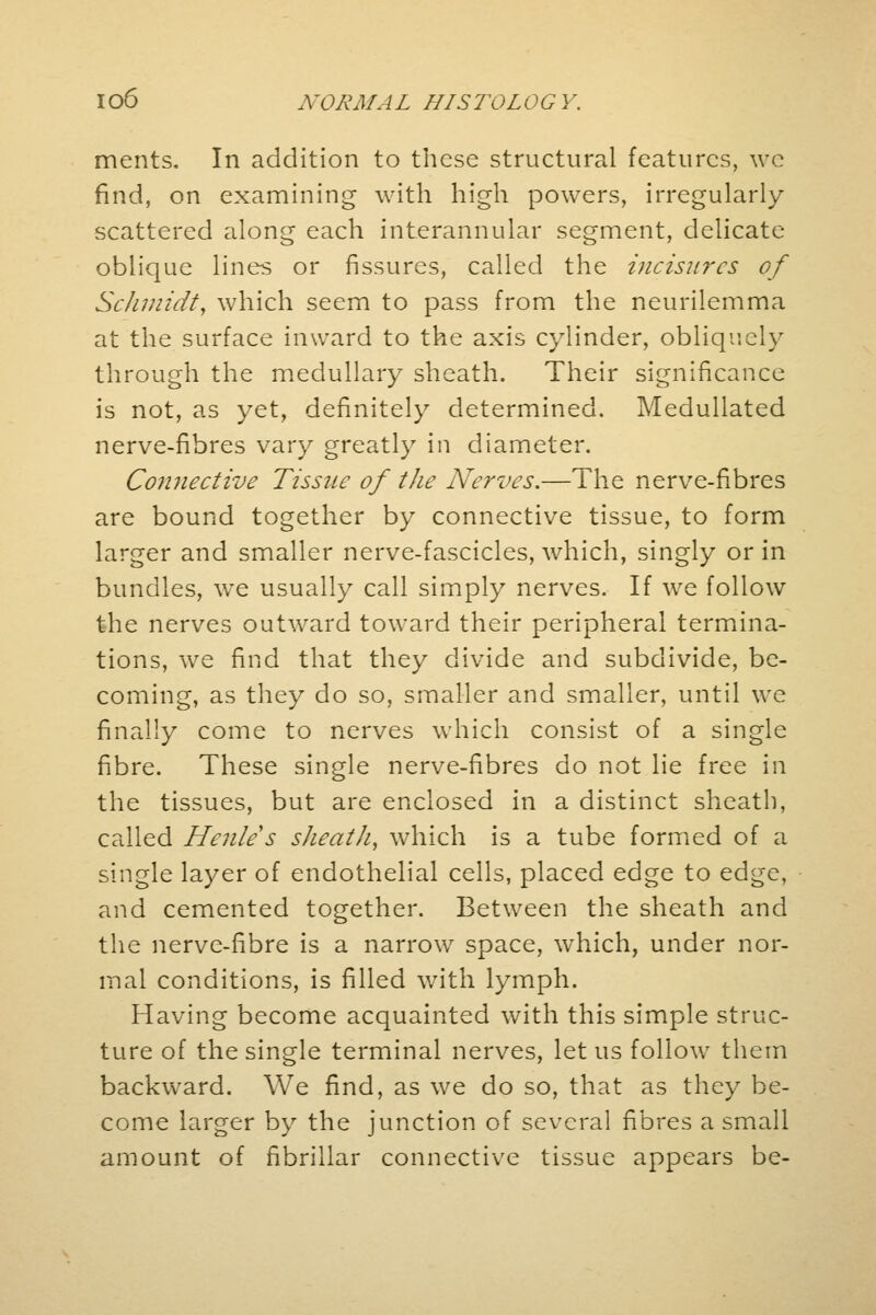 ments. In addition to these structural features, we find, on examining with high powers, irregularly scattered along each interannular segment, delicate- oblique lines or fissures, called the incisures of Schmidt, which seem to pass from the neurilemma at the surface inward to the axis cylinder, obliquely through the medullary sheath. Their significance is not, as yet, definitely determined. Medullated nerve-fibres vary greatly in diameter. Connective Tissue of the Nerves.—The nerve-fibres are bound together by connective tissue, to form larger and smaller nerve-fascicles, which, singly or in bundles, we usually call simply nerves. If we follow the nerves outward toward their peripheral termina- tions, we find that they divide and subdivide, be- coming, as they do so, smaller and smaller, until we finally come to nerves which consist of a single fibre. These single nerve-fibres do not lie free in the tissues, but are enclosed in a distinct sheath, called Henle's slieatli, which is a tube formed of a single layer of endothelial cells, placed edge to edge, and cemented together. Between the sheath and the nerve-fibre is a narrow space, which, under nor- mal conditions, is filled with lymph. Having become acquainted with this simple struc- ture of the single terminal nerves, let us follow them backward. We find, as we do so, that as they be- come larger by the junction of several fibres a small amount of fibrillar connective tissue appears be-