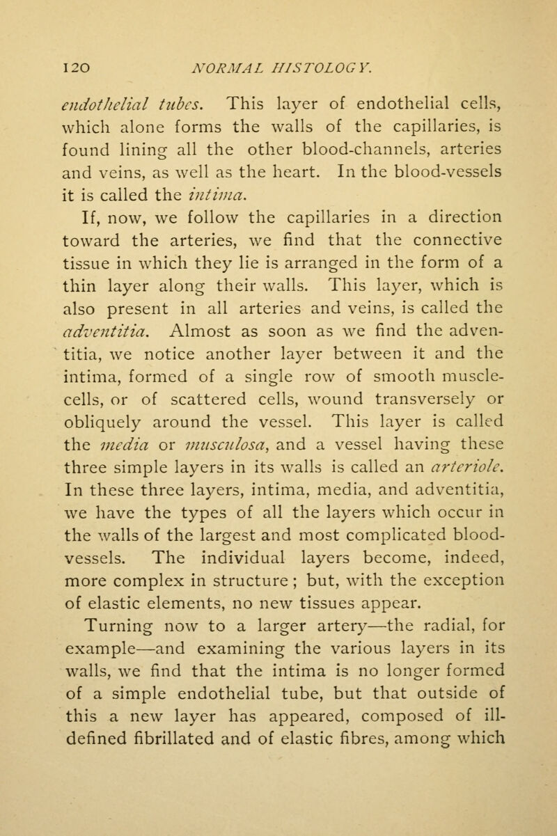 endothelial tubes. This layer of endothelial cells, which alone forms the walls of the capillaries, is found lining all the other blood-channels, arteries and veins, as well as the heart. In the blood-vessels it is called the intima. If, now, we follow the capillaries in a direction toward the arteries, we find that the connective tissue in which they lie is arranged in the form of a thin layer along their walls. This layer, which is also present in all arteries and veins, is called the adventitia. Almost as soon as we find the adven- titia, we notice another layer between it and the intima, formed of a single row of smooth muscle- cells, or of scattered cells, wound transversely or obliquely around the vessel. This layer is called the media or musculosa, and a vessel having these three simple layers in its walls is called an arteriole. In these three layers, intima, media, and adventitia, we have the types of all the layers which occur in the walls of the largest and most complicated blood- vessels. The individual layers become, indeed, more complex in structure; but, with the exception of elastic elements, no new tissues appear. Turning now to a larger artery—the radial, for example—and examining the various layers in its walls, we find that the intima is no longer formed of a simple endothelial tube, but that outside of this a new layer has appeared, composed of ill- defined fibrillated and of elastic fibres, among which