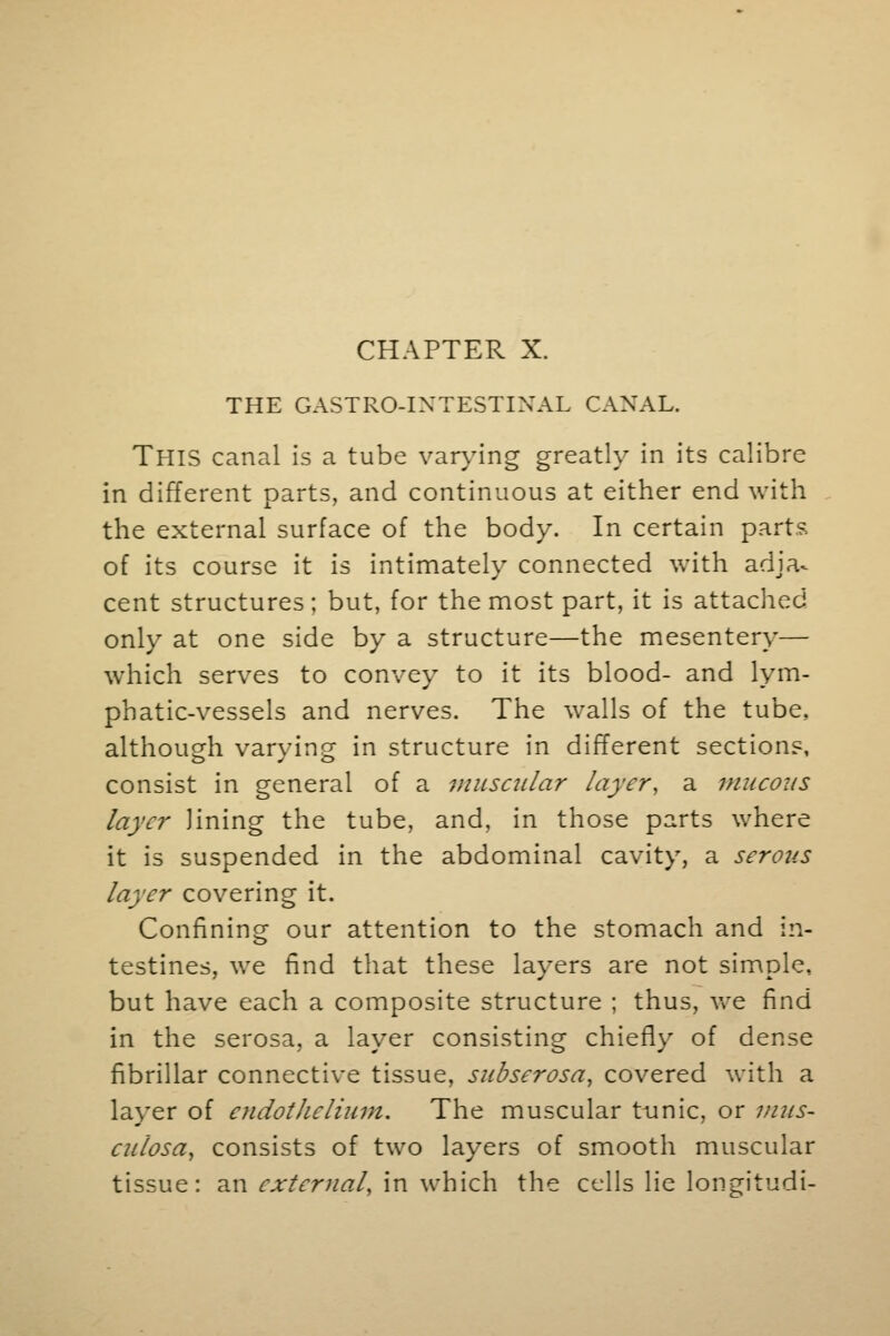 CHAPTER X. THE GASTROINTESTINAL CANAL. THIS canal is a tube varying greatly in its calibre in different parts, and continuous at either end with the external surface of the body. In certain part?. of its course it is intimately connected with adja- cent structures; but, for the most part, it is attached only at one side by a structure—the mesentery— which serves to convey to it its blood- and lym- phatic-vessels and nerves. The walls of the tube, although varying in structure in different sections, consist in general of a muscular layer, a mucous layer lining the tube, and, in those parts where it is suspended in the abdominal cavity, a serous layer covering it. Confining our attention to the stomach and in- testines, we find that these layers are not simple, but have each a composite structure ; thus, we find in the serosa, a layer consisting chiefly of dense fibrillar connective tissue, subserosa, covered with a layer of endothelium. The muscular tunic, or mus- culosa, consists of two layers of smooth muscular tissue: an external, in which the cells lie longitudi-