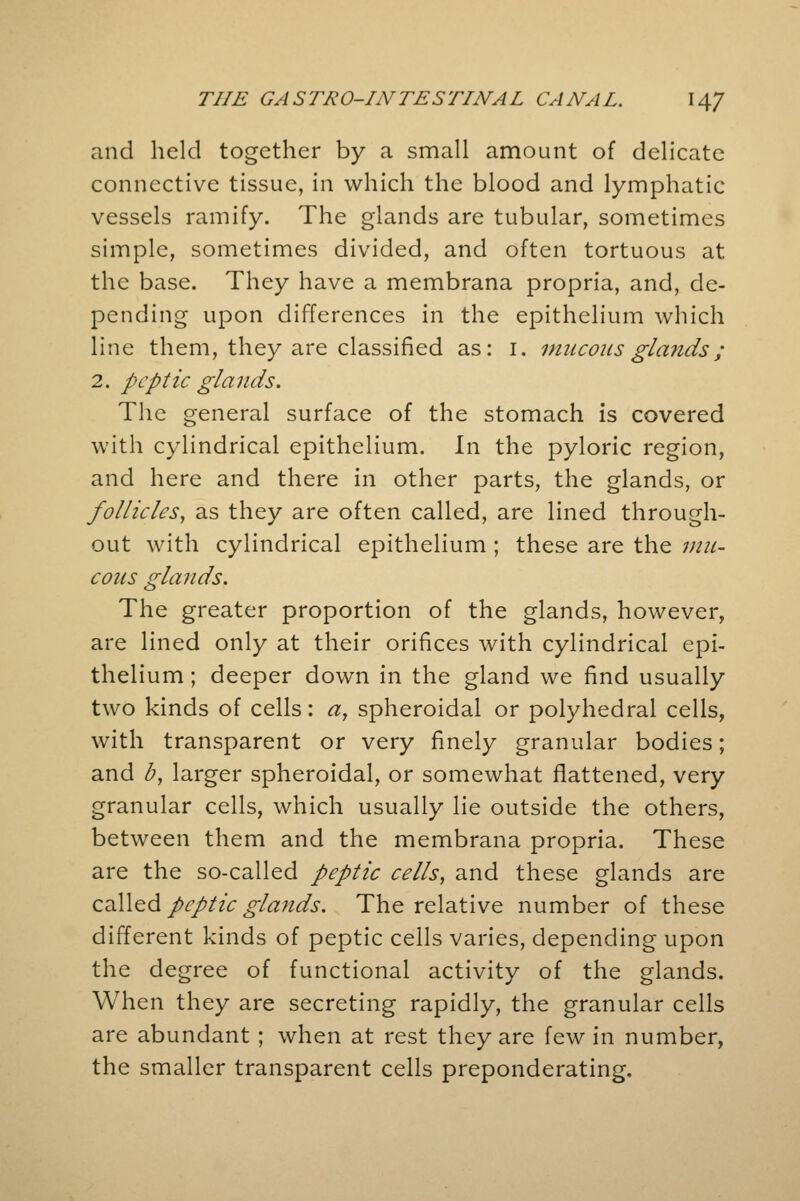 and held together by a small amount of delicate connective tissue, in which the blood and lymphatic vessels ramify. The glands are tubular, sometimes simple, sometimes divided, and often tortuous at the base. They have a membrana propria, and, de- pending upon differences in the epithelium which line them, they are classified as: I. mucous glands; 2. peptic glands. The general surface of the stomach is covered with cylindrical epithelium. In the pyloric region, and here and there in other parts, the glands, or follicles, as they are often called, are lined through- out with cylindrical epithelium ; these are the mu- cous glands. The greater proportion of the glands, however, are lined only at their orifices with cylindrical epi- thelium ; deeper down in the gland we find usually two kinds of cells: a, spheroidal or polyhedral cells, with transparent or very finely granular bodies; and b, larger spheroidal, or somewhat flattened, very granular cells, which usually lie outside the others, between them and the membrana propria. These are the so-called peptic cells, and these glands are called peptic glands. The relative number of these different kinds of peptic cells varies, depending upon the degree of functional activity of the glands. When they are secreting rapidly, the granular cells are abundant ; when at rest they are few in number, the smaller transparent cells preponderating.