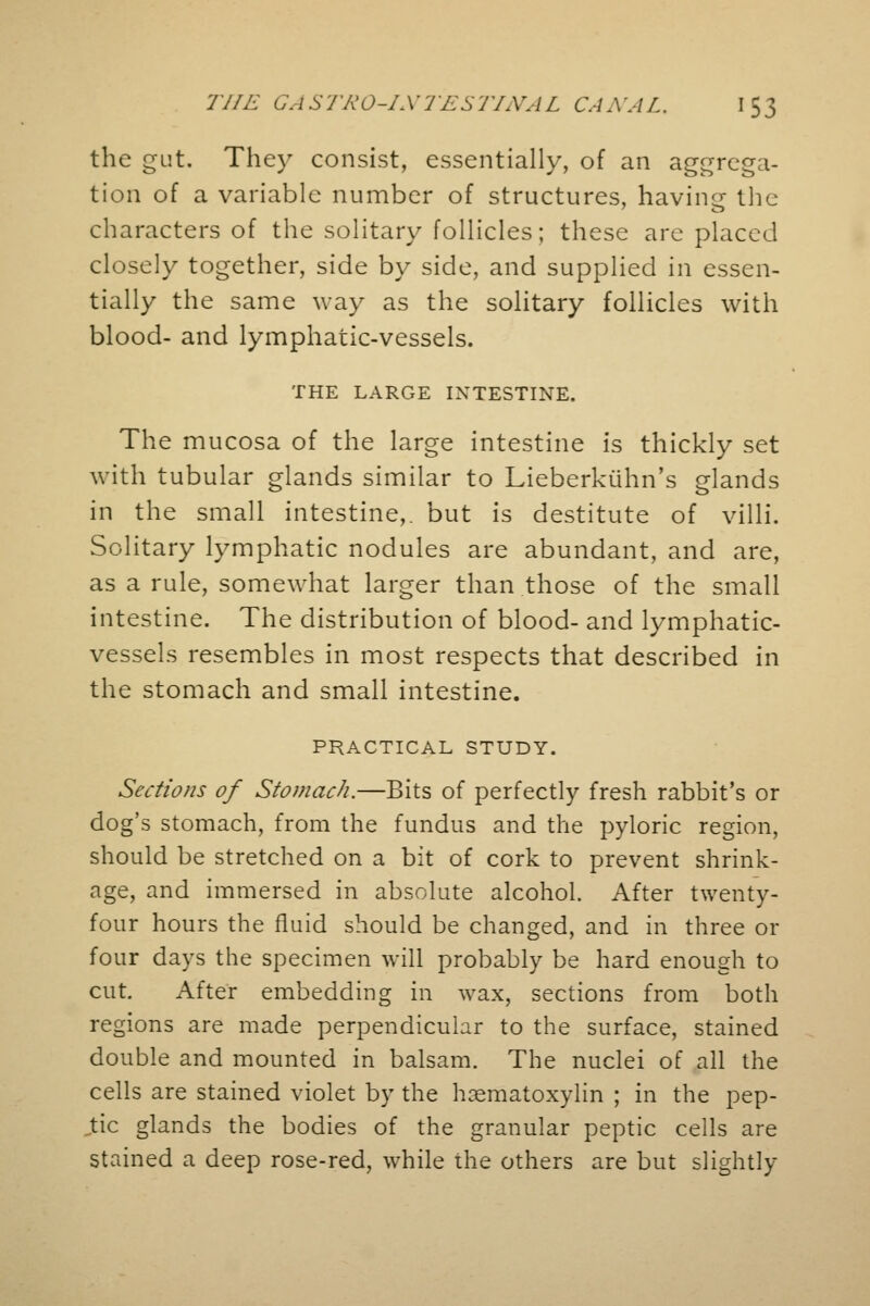 the gut. They consist, essentially, of an aggrega- tion of a variable number of structures, having the characters of the solitary follicles; these are placed closely together, side by side, and supplied in essen- tially the same way as the solitary follicles with blood- and lymphatic-vessels. THE LARGE INTESTINE. The mucosa of the large intestine is thickly set with tubular glands similar to Lieberkuhn's glands in the small intestine,, but is destitute of villi. Solitary lymphatic nodules are abundant, and are, as a rule, somewhat larger than those of the small intestine. The distribution of blood- and lymphatic- vessels resembles in most respects that described in the stomach and small intestine. PRACTICAL STUDY. Sections of Stomach.—Bits of perfectly fresh rabbit's or dog's stomach, from the fundus and the pyloric region, should be stretched on a bit of cork to prevent shrink- age, and immersed in absolute alcohol. After twenty- four hours the fluid should be changed, and in three or four days the specimen will probably be hard enough to cut. After embedding in wax, sections from both regions are made perpendicular to the surface, stained double and mounted in balsam. The nuclei of all the cells are stained violet by the haematoxylin ; in the pep- tic glands the bodies of the granular peptic cells are stained a deep rose-red, while the others are but slightly