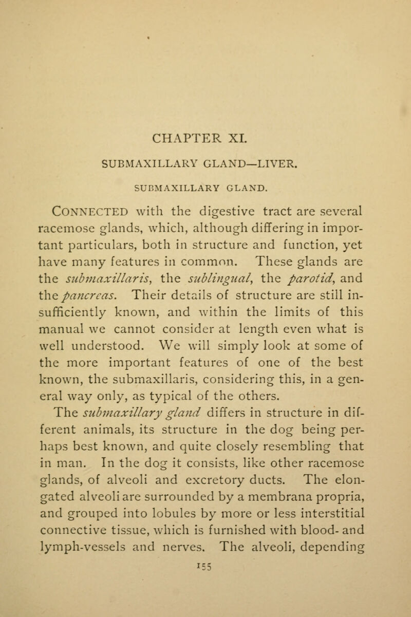 CHAPTER XL SUBMAXILLARY GLAND—LIVER. SUBMAXILLARY GLAND. Connected with the digestive tract are several racemose glands, which, although differing in impor- tant particulars, both in structure and function, yet have many features in common. These glands are the submaxillar'is', the sublingual, the parotid, and the pancreas. Their details of structure are still in- sufficiently known, and within the limits of this manual we cannot consider at length even what is well understood. We will simply look at some of the more important features of one of the best known, the submaxillaris, considering this, in a gen- eral way only, as typical of the others. The submaxillary gland differs in structure in dif- ferent animals, its structure in the dog being per- haps best known, and quite closely resembling that in man. In the dog it consists, like other racemose glands, of alveoli and excretory ducts. The elon- gated alveoli are surrounded by a membrana propria, and grouped into lobules by more or less interstitial connective tissue, which is furnished with blood- and lymph-vessels and nerves. The alveoli, depending