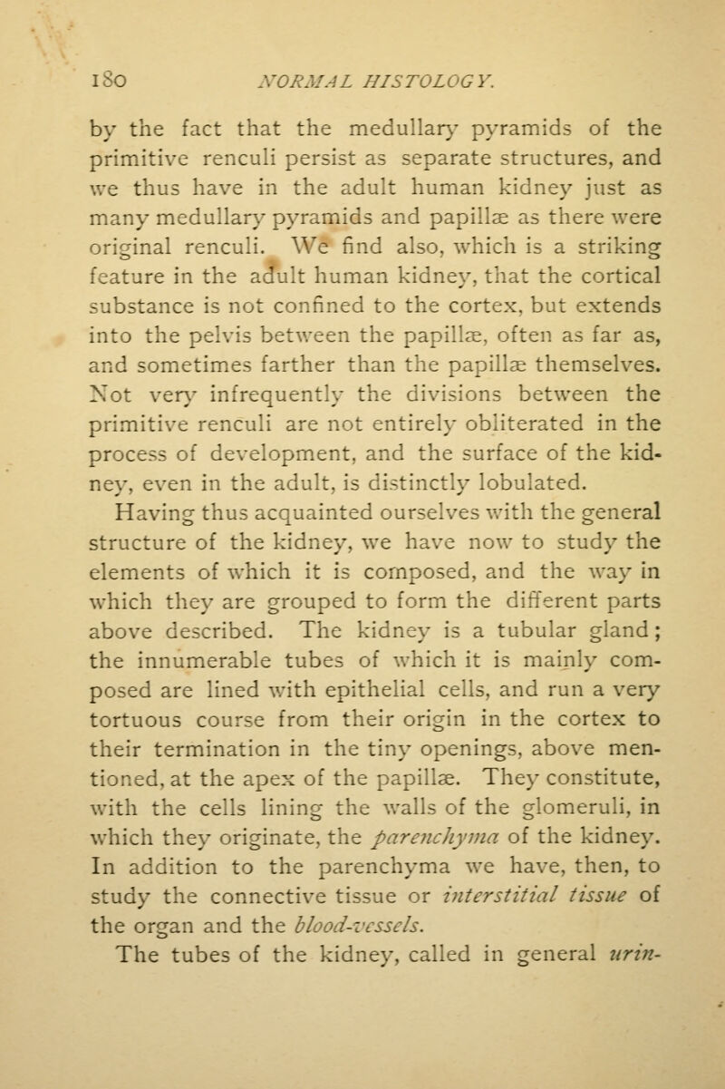 by the fact that the medullar}' pyramids of the primitive renculi persist as separate structures, and we thus have in the adult human kidney just as many medullary pyramids and papillae as there were original renculi. We find also, which is a striking feature in the adult human kidney, that the cortical substance is not confined to the cortex, but extends into the pelvis between the papillae, often as far as, and sometimes farther than the papillae themselves. Not very infrequently the divisions between the primitive renculi are not entirely obliterated in the process of development, and the surface of the kid- ney, even in the adult, is distinctly lobulated. Having thus acquainted ourselves with the general structure of the kidney, we have now to study the elements of which it is composed, and the way in which they are grouped to form the different parts above described. The kidney is a tubular gland; the innumerable tubes of which it is mainly com- posed are lined with epithelial cells, and run a very tortuous course from their origin in the cortex to their termination in the tiny openings, above men- tioned, at the apex of the papillae. They constitute, with the cells lining the walls of the glomeruli, in which they originate, the parenchyma of the kidney. In addition to the parenchyma we have, then, to study the connective tissue or interstitial tissue of the organ and the blood-vessels. The tubes of the kidney, called in general urin-