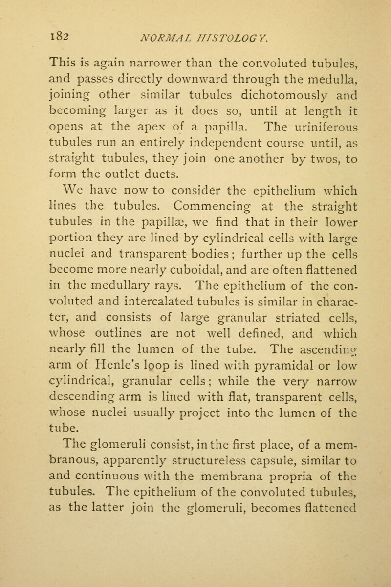 This is again narrower than the convoluted tubules, and passes directly downward through the medulla, joining other similar tubules dichotomously and becoming larger as it does so, until at length it opens at the apex of a papilla. The uriniferous tubules run an entirely independent course until, as straight tubules, they join one another by twos, to form the outlet ducts. We have now to consider the epithelium which lines the tubules. Commencing at the straight tubules in the papillae, we find that in their lower portion they are lined by cylindrical cells with large nuclei and transparent bodies; further up the cells become more nearly cuboidal, and are often flattened in the medullary rays. The epithelium of the con- voluted and intercalated tubules is similar in charac- ter, and consists of large granular striated cells, whose outlines are not well defined, and which nearly fill the lumen of the tube. The ascending arm of Henle's loop is lined with pyramidal or low cylindrical, granular cells; while the very narrow descending arm is lined with flat, transparent cells, whose nuclei usually project into the lumen of the tube. The glomeruli consist, in the first place, of a mem- branous, apparently structureless capsule, similar to and continuous with the membrana propria of the tubules. The epithelium of the convoluted tubules, as the latter join the glomeruli, becomes flattened