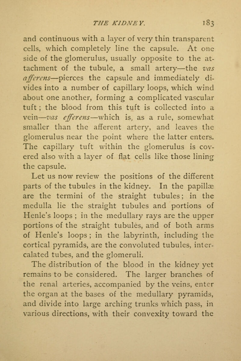 and continuous with a layer of very thin transparent cells, which completely line the capsule. At one side of the glomerulus, usually opposite to the at- tachment of the tubule, a small artery—the vas affcrens—pierces the capsule and immediately di- vides into a number of capillary loops, which wind about one another, forming a complicated vascular tuft ; the blood from this tuft is collected into a vein—vas efferens—which is, as a rule, somewhat smaller than the afferent artery, and leaves the glomerulus near the point where the latter enters. The capillary tuft within the glomerulus is cov- ered also with a layer of flat cells like those lining the capsule. Let us now review the positions of the different parts of the tubules in the kidney. In the papillae are the termini of the straight tubules; in the medulla lie the straight tubules and portions of Henle's loops ; in the medullary rays are the upper portions of the straight tubules, and of both arms of Henle's loops ; in the labyrinth, including the cortical pyramids, are the convoluted tubules, inter- calated tubes, and the glomeruli. The distribution of the blood in the kidney yet remains to be considered. The larger branches of the renal arteries, accompanied by the veins, enter the organ at the bases of the medullary pyramids, and divide into large arching trunks which pass, in various directions, with their convexity toward the