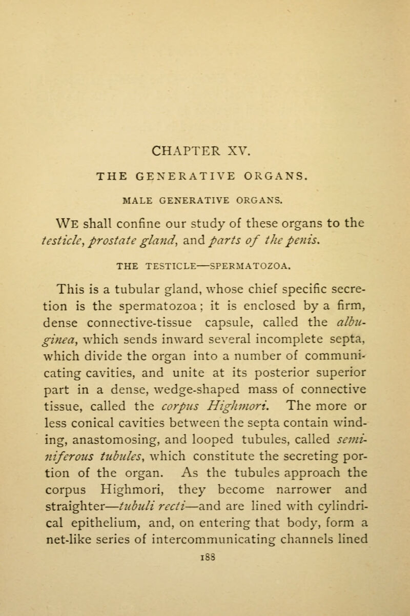 CHAPTER XV. THE GENERATIVE ORGANS. MALE GENERATIVE ORGANS. WE shall confine our study of these organs to the testicle, prostate gland, and parts of the penis. THE TESTICLE SPERMATOZOA. This is a tubular gland, whose chief specific secre- tion is the spermatozoa ; it is enclosed by a firm, dense connective-tissue capsule, called the albu- ginea, which sends inward several incomplete septa, which divide the organ into a number of communi- cating cavities, and unite at its posterior superior part in a dense, wedge-shaped mass of connective tissue, called the corpus Highmori. The more or less conical cavities between the septa contain wind- ing, anastomosing, and looped tubules, called semi- niferous tubules, which constitute the secreting por- tion of the organ. As the tubules approach the corpus Highmori, they become narrower and straighter—tubuli recti—and are lined with cylindri- cal epithelium, and, on entering that body, form a net-like series of intercommunicating channels lined 183