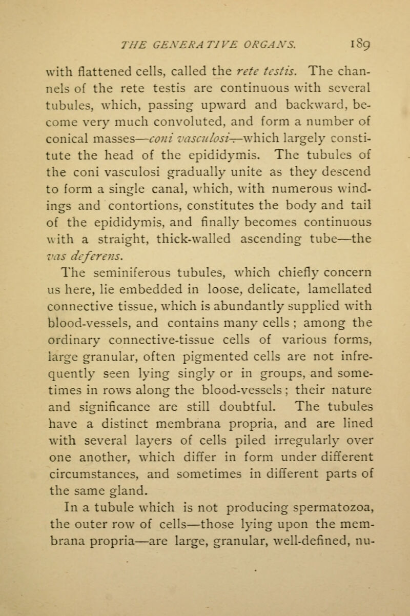 with flattened cells, called the rete testis. The chan- nels of the rete testis are continuous with several tubules, which, passing upward and backward, be- come very much convoluted, and form a number of conical masses—coni z\iscu ksi—\x\\\Q\\ largely consti- tute the head of the epididymis. The tubules of the coni vasculosi gradually unite as they descend to form a single canal, which, with numerous wind- ings and contortions, constitutes the body and tail of the epididymis, and finally becomes continuous \\ ith a straight, thick-walled ascending tube—the vas deferens. The seminiferous tubules, which chiefly concern us here, lie embedded in loose, delicate, lamellated connective tissue, which is abundantly supplied with blood-vessels, and contains man}- cells : among the ordinary connective-tissue cells of various forms, large granular, often pigmented cells are not infre- quently seen lying singly or in groups, and some- times in rows along the blood-vessels : their nature and significance are still doubtful. The tubules have a distinct membrana propria, and are lined with several layers of cells piled irregularly over one another, which differ in form under different circumstances, and sometimes in different parts of the same gland. In a tubule which is not producing spermatozoa, the outer row of cells—those lying upon the mem- brana propria—are large, granular, well-defined, nu-