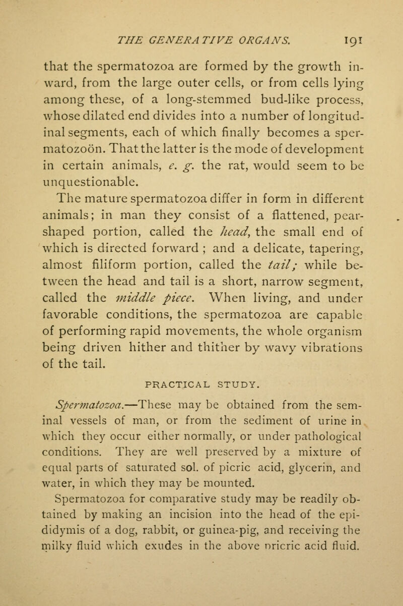 that the spermatozoa are formed by the growth in- ward, from the large outer cells, or from cells lying among these, of a long-stemmed bud-like process, whose dilated end divides into a number of longitud- inal segments, each of which finally becomes a sper- matozoon. That the latter is the mode of development in certain animals, e. g. the rat, would seem to be unquestionable. The mature spermatozoa differ in form in different animals; in man they consist of a flattened, pear- shaped portion, called the head, the small end of which is directed forward ; and a delicate, tapering, almost filiform portion, called the tail; while be- tween the head and tail is a short, narrow segment, called the middle piece. When living, and under favorable conditions, the spermatozoa are capable of performing rapid movements, the whole organism being driven hither and thither by wavy vibrations of the tail. PRACTICAL STUDY. Spermatozoa.—These may be obtained from the sem- inal vessels of man, or from the sediment of urine in which they occur either normally, or under pathological conditions. They are well preserved by a mixture of equal parts of saturated sol. of picric acid, glycerin, and water, in which they may be mounted. Spermatozoa for comparative study may be readily ob- tained by making an incision into the head of the epi- didymis of a dog, rabbit, or guinea-pig, and receiving the milkv fluid which exudes in the above nricric acid fluid.