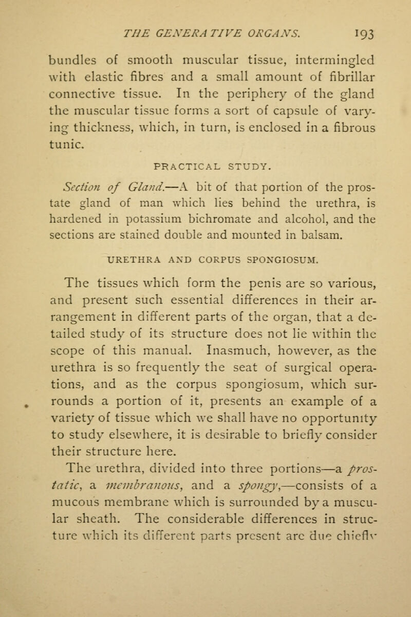 bundles of smooth muscular tissue, intermingled with elastic fibres and a small amount of fibrillar connective tissue. In the periphery of the gland the muscular tissue forms a sort of capsule of vary- ing thickness, which, in turn, is enclosed in a fibrous tunic. PRACTICAL STUDY. Section of Gland.—A bit of that portion of the pros- tate gland of man which lies behind the urethra, is hardened in potassium bichromate and alcohol, and the sections are stained double and mounted in balsam. URETHRA AND CORPUS SPONGIOSUM. The tissues which form the penis are so various, and present such essential differences in their ar- rangement in different parts of the organ, that a de- tailed study of its structure does not lie within the scope of this manual. Inasmuch, however, as the urethra is so frequently the seat of surgical opera- tions, and as the corpus spongiosum, which sur- rounds a portion of it, presents an example of a variety of tissue which we shall have no opportunity to study elsewhere, it is desirable to briefly consider their structure here. The urethra, divided into three portions—a pros- tatic, a membranous, and a spongy,—consists of a mucous membrane which is surrounded by a muscu- lar sheath. The considerable differences in struc- ture which its different parts present are due chieflv