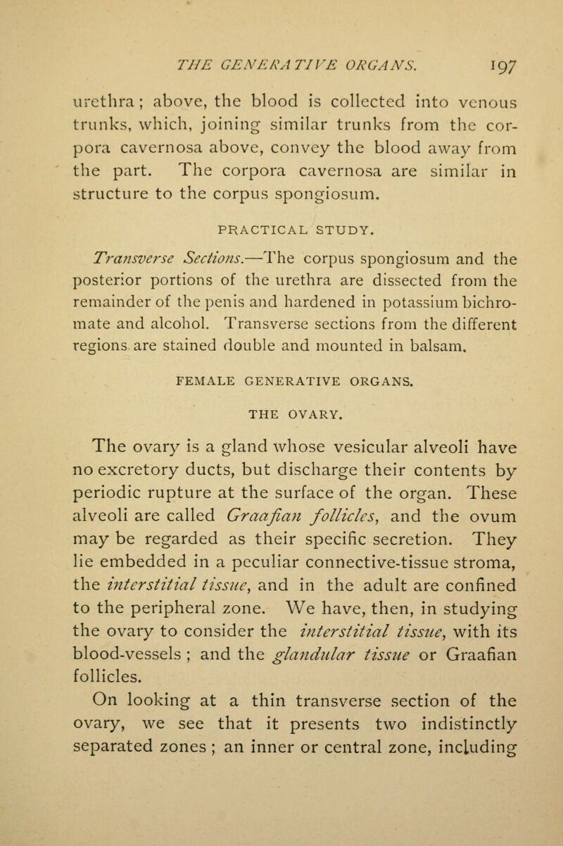 urethra; above, the blood is collected into venous trunks, which, joining similar trunks from the cor- pora cavernosa above, convey the blood away from the part. The corpora cavernosa are similar in structure to the corpus spongiosum. PRACTICAL STUDY. Transverse Sections.—The corpus spongiosum and the posterior portions of the urethra are dissected from the remainder of the penis and hardened in potassium bichro- mate and alcohol. Transverse sections from the different regions are stained double and mounted in balsam, FEMALE GENERATIVE ORGANS. THE OVARY. The ovary is a gland whose vesicular alveoli have no excretory ducts, but discharge their contents by periodic rupture at the surface of the organ. These alveoli are called Graafian follicles, and the ovum may be regarded as their specific secretion. They lie embedded in a peculiar connective-tissue stroma, the mterstitial tissue, and in the adult are confined to the peripheral zone. We have, then, in studying the ovary to consider the interstitial tissue, with its blood-vessels ; and the glandular tissue or Graafian follicles. On looking at a thin transverse section of the ovary, we see that it presents two indistinctly separated zones ; an inner or central zone, including