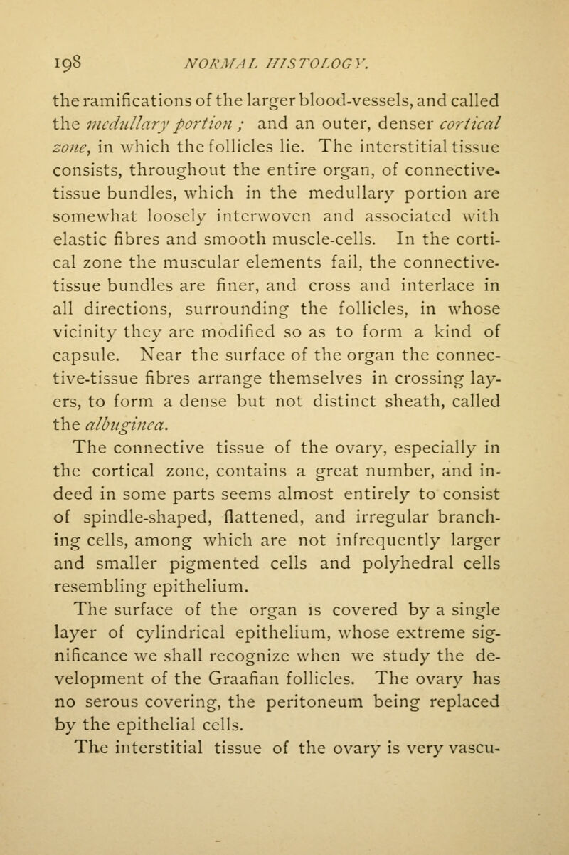 the ramifications of the larger blood-vessels, and called the medullary portion ; and an outer, denser cortical zone, in which the follicles lie. The interstitial tissue consists, throughout the entire organ, of connective- tissue bundles, which in the medullary portion are somewhat loosely interwoven and associated with elastic fibres and smooth muscle-cells. In the corti- cal zone the muscular elements fail, the connective- tissue bundles are finer, and cross and interlace in all directions, surrounding the follicles, in whose vicinity they are modified so as to form a kind of capsule. Near the surface of the organ the connec- tive-tissue fibres arrange themselves in crossing lay- ers, to form a dense but not distinct sheath, called the albuginea. The connective tissue of the ovary, especially in the cortical zone, contains a great number, and in- deed in some parts seems almost entirely to consist of spindle-shaped, flattened, and irregular branch- ing cells, among which are not infrequently larger and smaller pigmented cells and polyhedral cells resembling epithelium. The surface of the organ is covered by a single layer of cylindrical epithelium, whose extreme sig- nificance we shall recognize when we study the de- velopment of the Graafian follicles. The ovary has no serous covering, the peritoneum being replaced by the epithelial cells. The interstitial tissue of the ovary is very vascu-