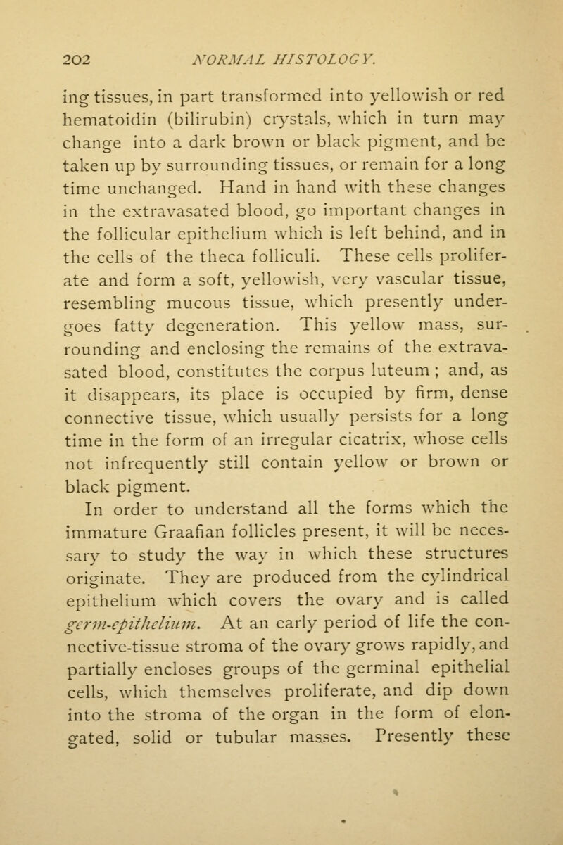 ing tissues, in part transformed into yellowish or red hematoidin (bilirubin) crystals, which in turn may change into a dark brown or black pigment, and be taken up by surrounding tissues, or remain for a long time unchanged. Hand in hand with these changes in the extravasated blood, go important changes in the follicular epithelium which is left behind, and in the cells of the theca folliculi. These cells prolifer- ate and form a soft, yellowish, very vascular tissue, resembling mucous tissue, which presently under- goes fatty degeneration. This yellow mass, sur- rounding and enclosing the remains of the extrava- sated blood, constitutes the corpus luteum ; and, as it disappears, its place is occupied by firm, dense connective tissue, which usually persists for a long time in the form of an irregular cicatrix, whose cells not infrequently still contain yellow or brown or black pigment. In order to understand all the forms which the immature Graafian follicles present, it will be neces- sary to study the way in which these structures originate. They are produced from the cylindrical epithelium which covers the ovary and is called gcrm-epitJiclium. At an early period of life the con- nective-tissue stroma of the ovary grows rapidly, and partially encloses groups of the germinal epithelial cells, which themselves proliferate, and dip down into the stroma of the organ in the form of elon- gated, solid or tubular masses. Presently these