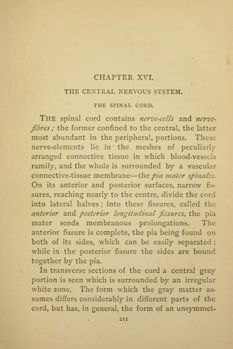 CHAPTER XVI. THE CENTRAL NERVOUS SYSTEM. THE SPINAL CORD. The spinal cord contains nerve-cells and nerve- fibres; the former confined to the central, the latter most abundant in the peripheral, portions. Th . nerve-elements lie in the meshes of peculiarly arranged connective tissue in which blood-vessels ramify, and the whole is surrounded by a vascular connective-tissue membrane—the pia mater spinalis. On its anterior and posterior surfaces, narrow fis- sures, reaching nearlv to the centre, divide the cord into lateral halves ; into these fissures, called the anterior and posterior longitudinal fissures, the pia mater sends membranous prolongations. The anterior fissure is complete, the pia being found on both of its sides, which can be easily separate I while in the posterior fissure the sides are bound together by the pia. In transverse sections of the cord a central gray portion is seen which is surrounded by an irregular white zone. The form which the gray matter as- sumes differs considerably in different parts of the cord, but has, in general, the form of an unsymmet-