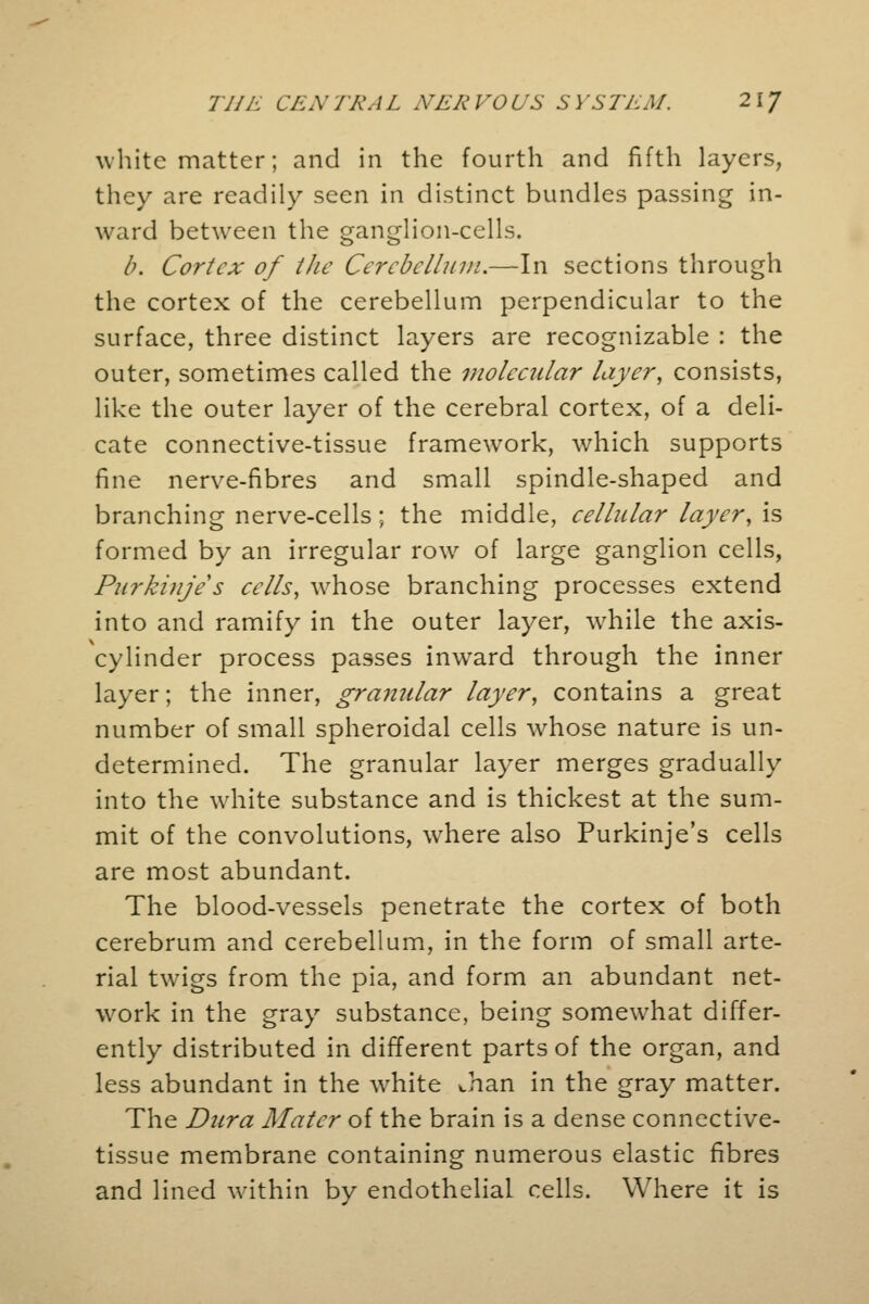 white matter; and in the fourth and fifth layers, they are readily seen in distinct bundles passing in- ward between the ganglion-cells. b. Cortex of the Cerebellum.—In sections through the cortex of the cerebellum perpendicular to the surface, three distinct layers are recognizable : the outer, sometimes called the molecular layer, consists, like the outer layer of the cerebral cortex, of a deli- cate connective-tissue framework, which supports fine nerve-fibres and small spindle-shaped and branching nerve-cells ; the middle, cellular layer, is formed by an irregular row of large ganglion cells, Purkinjes cells, whose branching processes extend into and ramify in the outer layer, while the axis- cylinder process passes inward through the inner layer; the inner, granular layer, contains a great number of small spheroidal cells whose nature is un- determined. The granular layer merges gradually into the white substance and is thickest at the sum- mit of the convolutions, where also Purkinje's cells are most abundant. The blood-vessels penetrate the cortex of both cerebrum and cerebellum, in the form of small arte- rial twigs from the pia, and form an abundant net- work in the gray substance, being somewhat differ- ently distributed in different parts of the organ, and less abundant in the white chan in the gray matter. The Dura Mater of the brain is a dense connective- tissue membrane containing numerous elastic fibres and lined within by endothelial cells. Where it is