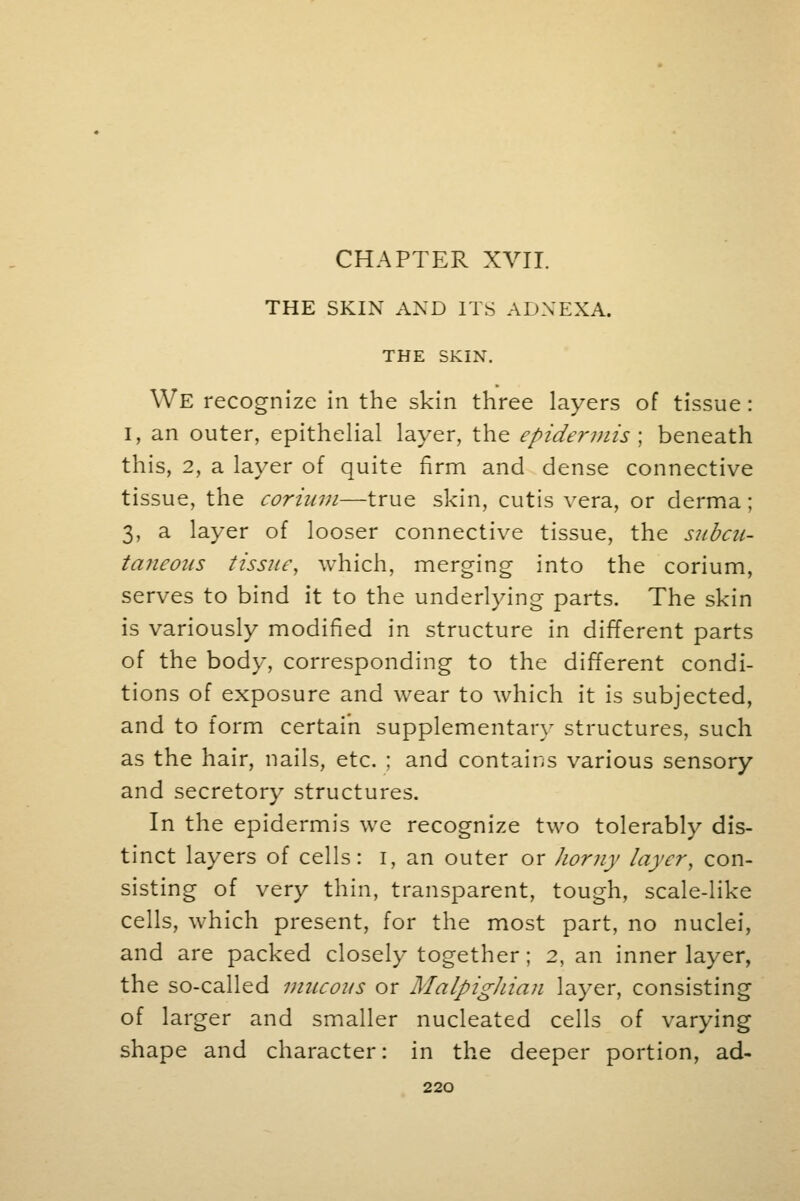 CHAPTER XVII. THE SKIN AND ITS ADXEXA. THE SKIX. We recognize in the skin three layers of tissue : I, an outer, epithelial layer, the epidermis; beneath this, 2, a layer of quite firm and dense connective tissue, the corium—true skin, cutis vera, or derma; 3, a layer of looser connective tissue, the subcu- taneous tissue, which, merging into the corium, serves to bind it to the underlying parts. The skin is variously modified in structure in different parts of the body, corresponding to the different condi- tions of exposure and wear to which it is subjected, and to form certain supplementary structures, such as the hair, nails, etc. : and contains various sensory and secretory structures. In the epidermis we recognize two tolerably dis- tinct layers of cells: I, an outer or Jiorny layer, con- sisting of very thin, transparent, tough, scale-like cells, which present, for the most part, no nuclei, and are packed closely together; 2, an inner layer, the so-called mucous or MalpigJiian layer, consisting of larger and smaller nucleated cells of varying shape and character: in the deeper portion, ad-