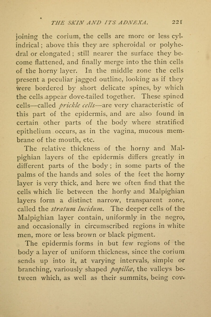joining the corium, the cells are more or less cyl- indrical ; above this they are spheroidal or polyhe- dral or elongated ; still nearer the surface they be- come flattened, and finally merge into the thin cells of the horny layer. In the middle zone the cells present a peculiar jagged outline, looking as if they were bordered by short delicate spines, by which the cells appear dove-tailed together. These spined cells—called prickle cells—are very characteristic of this part of the epidermis, and are also found in certain other parts of the body where stratified epithelium occurs, as in the vagina, mucous mem- brane of the mouth, etc. The relative thickness of the horny and Mal- pighian layers of the epidermis differs greatly in different parts of the body ; in some parts of the palms of the hands and soles of the feet the horny layer is very thick, and here we often find that the cells which lie between the horny and Malpighian layers form a distinct narrow, transparent zone, called the stratum lucidum. The deeper cells of the Malpighian layer contain, uniformly in the negro, and occasionally in circumscribed regions in white men, more or less brown or black pigment. The epidermis forms in but few regions of the body a layer of uniform thickness, since the corium sends up into it, at varying intervals, simple or branching, variously shaped papillce, the valleys be- tween which, as well as their summits, being cov-