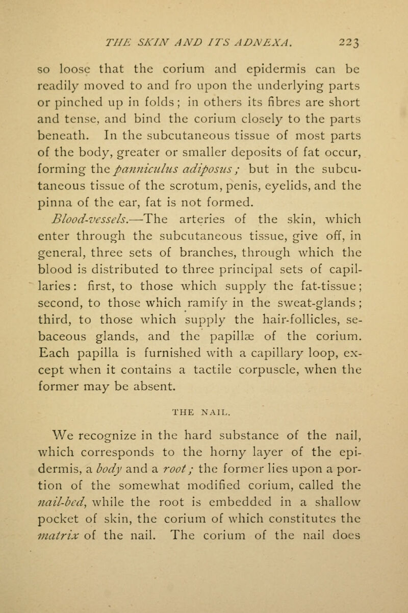 so loose that the corium and epidermis can be readily moved to and fro upon the underlying parts or pinched up in folds; in others its fibres are short and tense, and bind the corium closely to the parts beneath. In the subcutaneous tissue of most parts of the body, greater or smaller deposits of fat occur, forming the panniculus adiposus; but in the subcu- taneous tissue of the scrotum, penis, eyelids, and the pinna of the ear, fat is not formed. Blood-vessels.—The arteries of the skin, which enter through the subcutaneous tissue, give off, in general, three sets of branches, through which the blood is distributed to three principal sets of capil- laries : first, to those which supply the fat-tissue; second, to those which ramify in the sweat-glands; third, to those which supply the hair-follicles, se- baceous glands, and the papillae of the corium. Each papilla is furnished with a capillary loop, ex- cept when it contains a tactile corpuscle, when the former may be absent. THE NAIL. We recognize in the hard substance of the nail, which corresponds to the horny layer of the epi- dermis, a body and a root; the former lies upon a por- tion of the somewhat modified corium, called the nail-bed, while the root is embedded in a shallow pocket of skin, the corium of which constitutes the matrix of the nail. The corium of the nail does