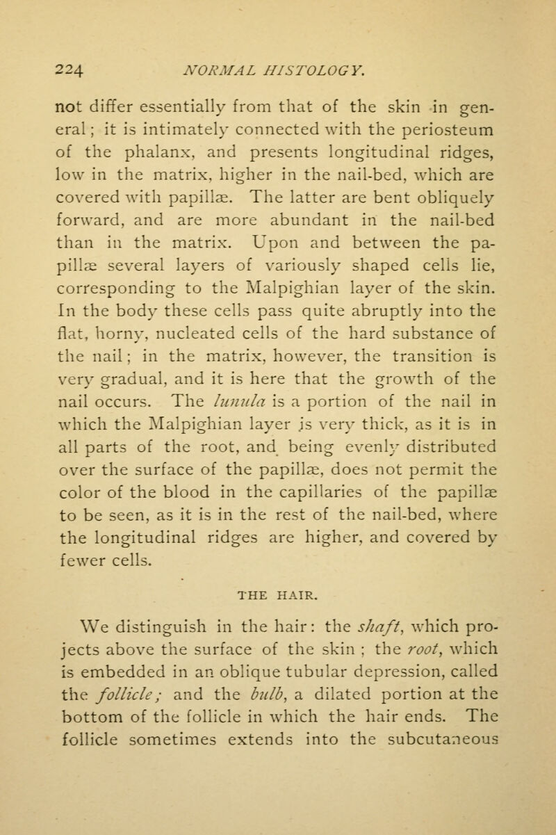 not differ essentially from that of the skin in een- eral; it is intimately connected with the periosteum of the phalanx, and presents longitudinal ridges, low in the matrix, higher in the nail-bed, which are covered with papillae. The latter are bent obliquely forward, and are more abundant in the nail-bed than in the matrix. Upon and between the pa- pillae several layers of variously shaped celis lie, corresponding to the Malpighian layer of the skin. In the body these cells pass quite abruptly into the flat, horny, nucleated cells of the hard substance of the nail; in the matrix, however, the transition is very gradual, and it is here that the growth of the nail occurs. The lunula is a portion of the nail in which the Malpighian layer is very thick, as it is in all parts of the root, and being evenly distributed over the surface of the papillae, does not permit the color of the blood in the capillaries of the papillae to be seen, as it is in the rest of the nail-bed, where the longitudinal ridges are higher, and covered by fewer cells. THE HAIR. We distinguish in the hair: the shaft, which pro- jects above the surface of the skin : the root, which is embedded in an oblique tubular depression, called the follicle; and the bulb, a dilated portion at the bottom of the follicle in which the hair ends. The follicle sometimes extends into the subcutaneous